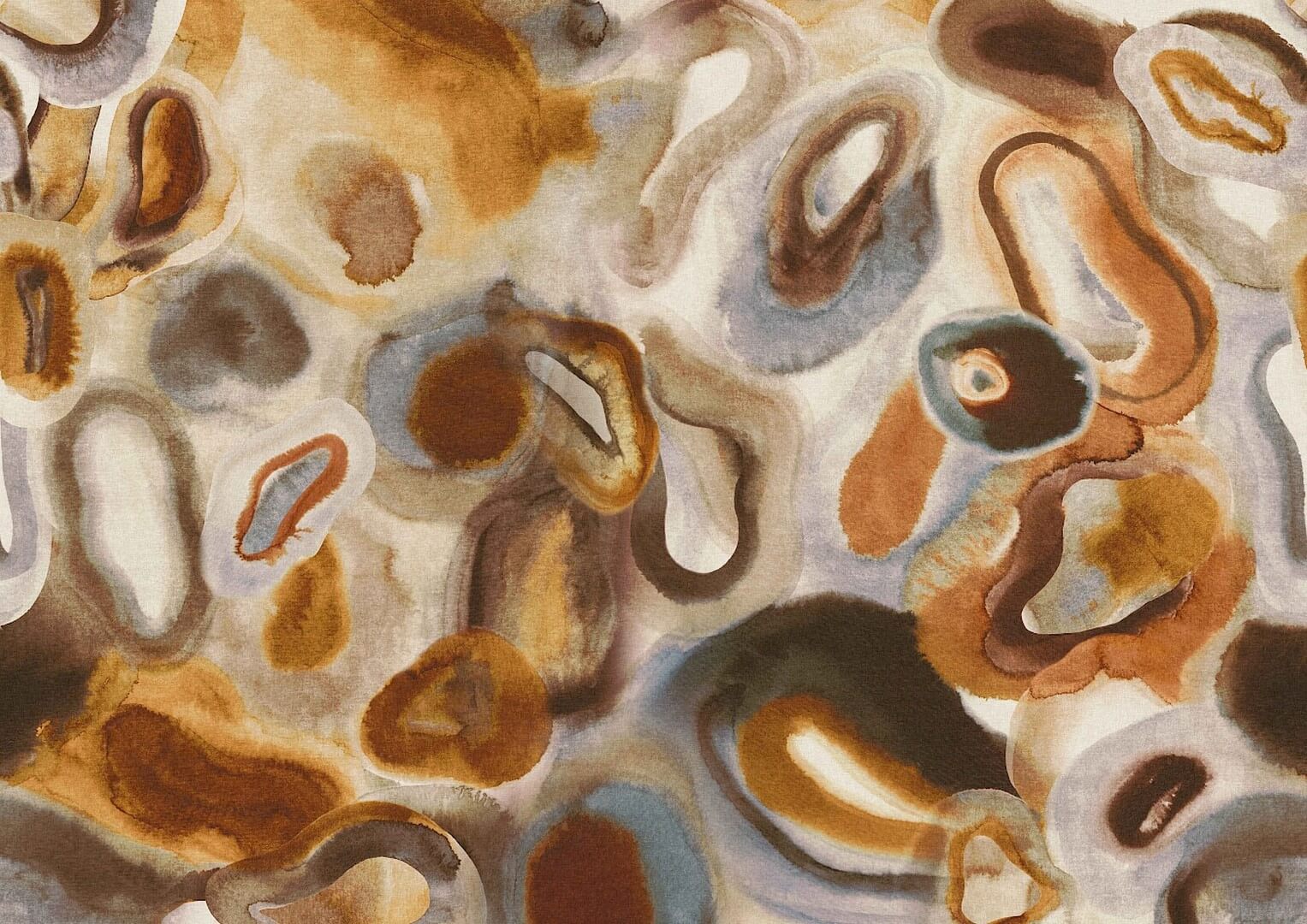 Mural abstrakcyjny o miękkich, organicznych formach Masureel DGERO3014 Acharius Erosion