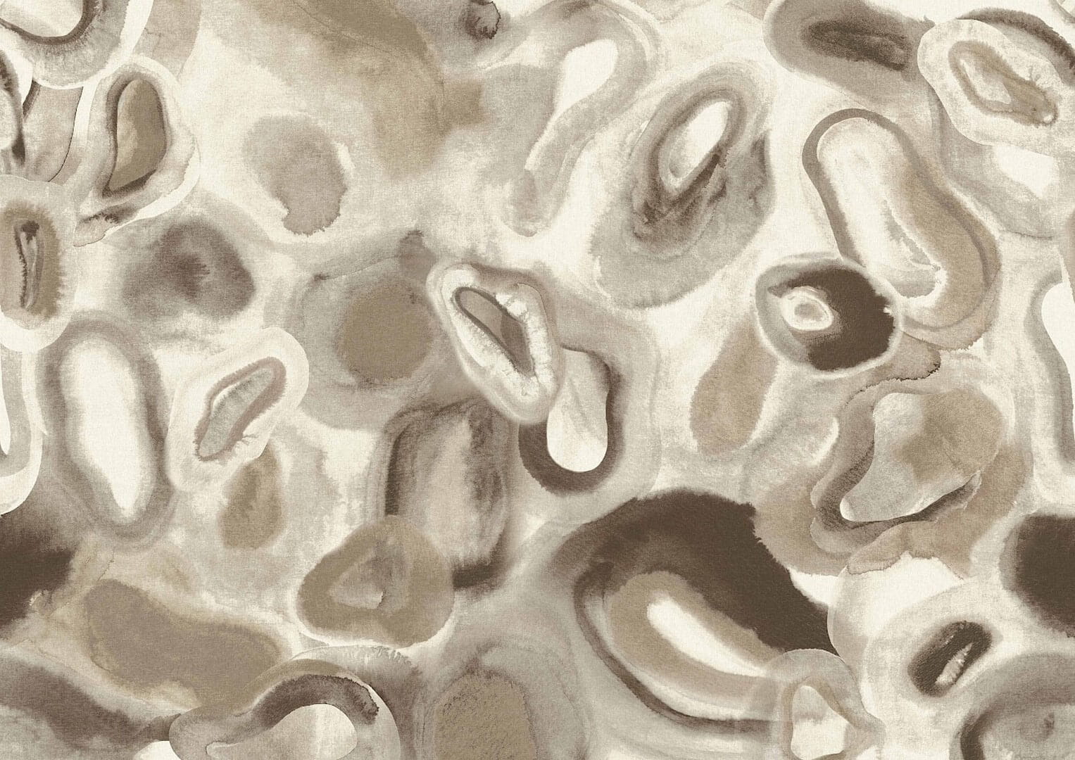 Mural abstrakcyjny o miękkich, organicznych formach Masureel DGERO3021 Acharius Erosion