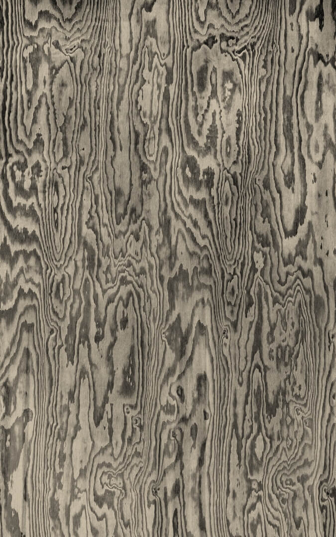 Fototapeta słoje drewna Rebel Walls R21125 Wood Shades Gray Modern Simplicity