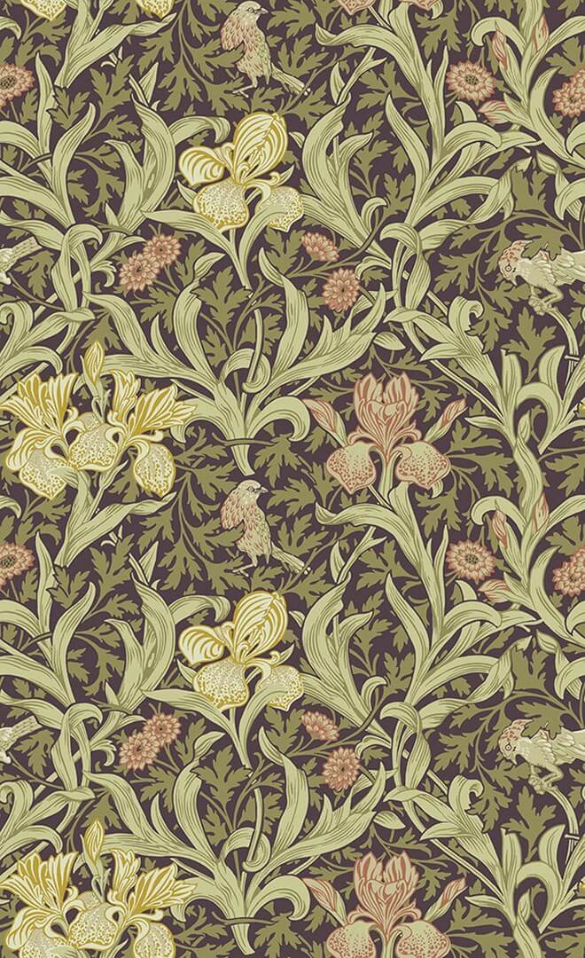 Tapeta botaniczna Midbec 82052 Iris Hidden Treasures vol 2