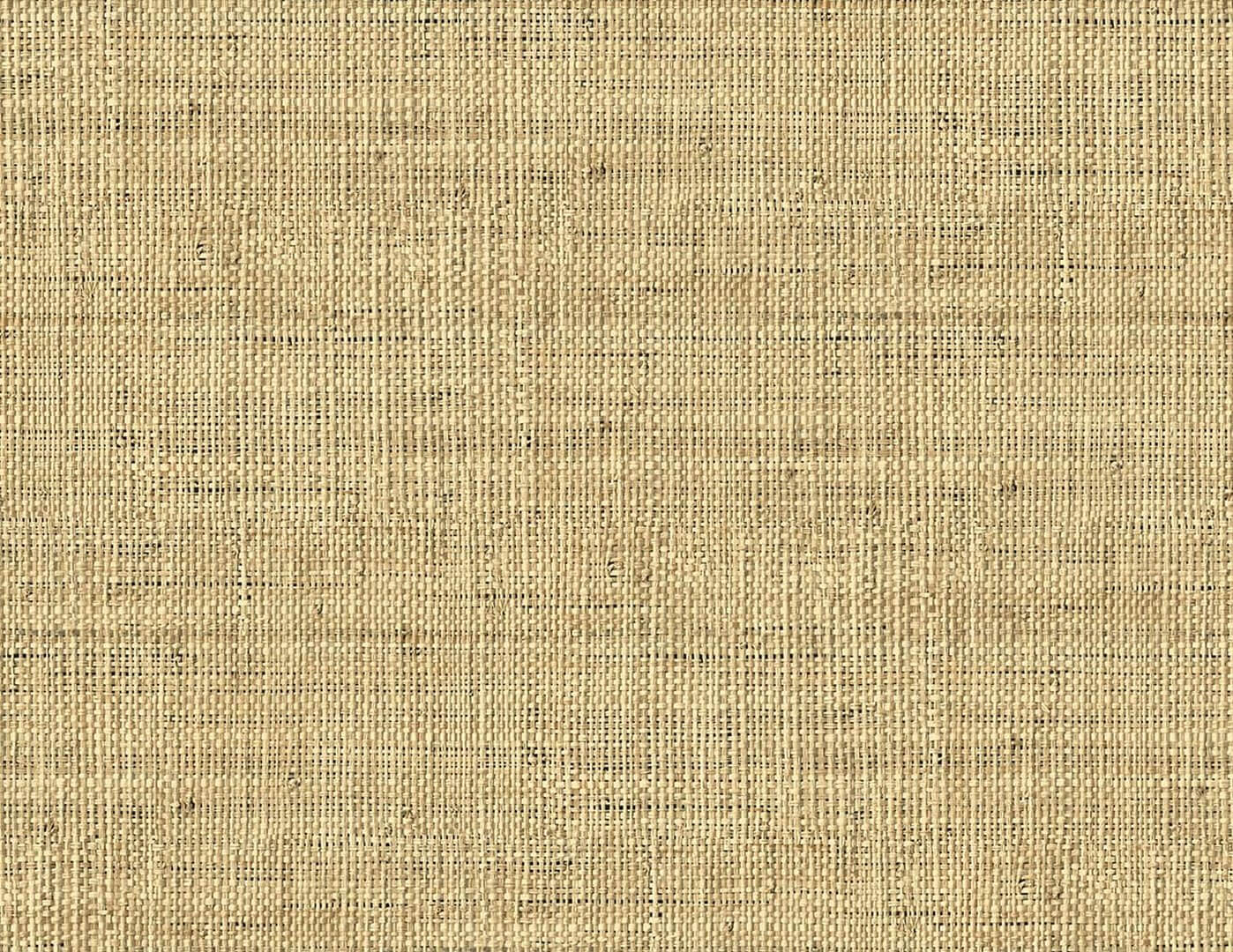 Tapeta imitująca plecionkę Wallquest LS61107 Savannah Grass