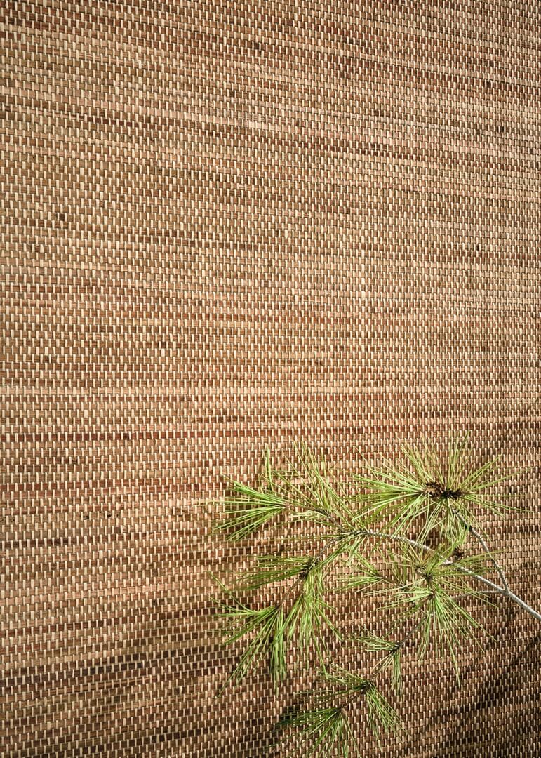 Tapeta CMO Paris WBB 07 72 Bambou Tressé Bamboo