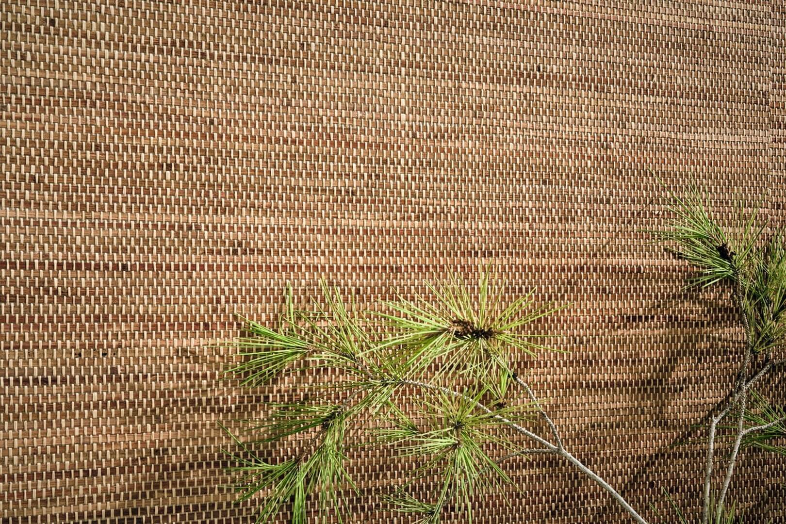 Tapeta CMO Paris WBB 07 72 Bambou Tressé Bamboo