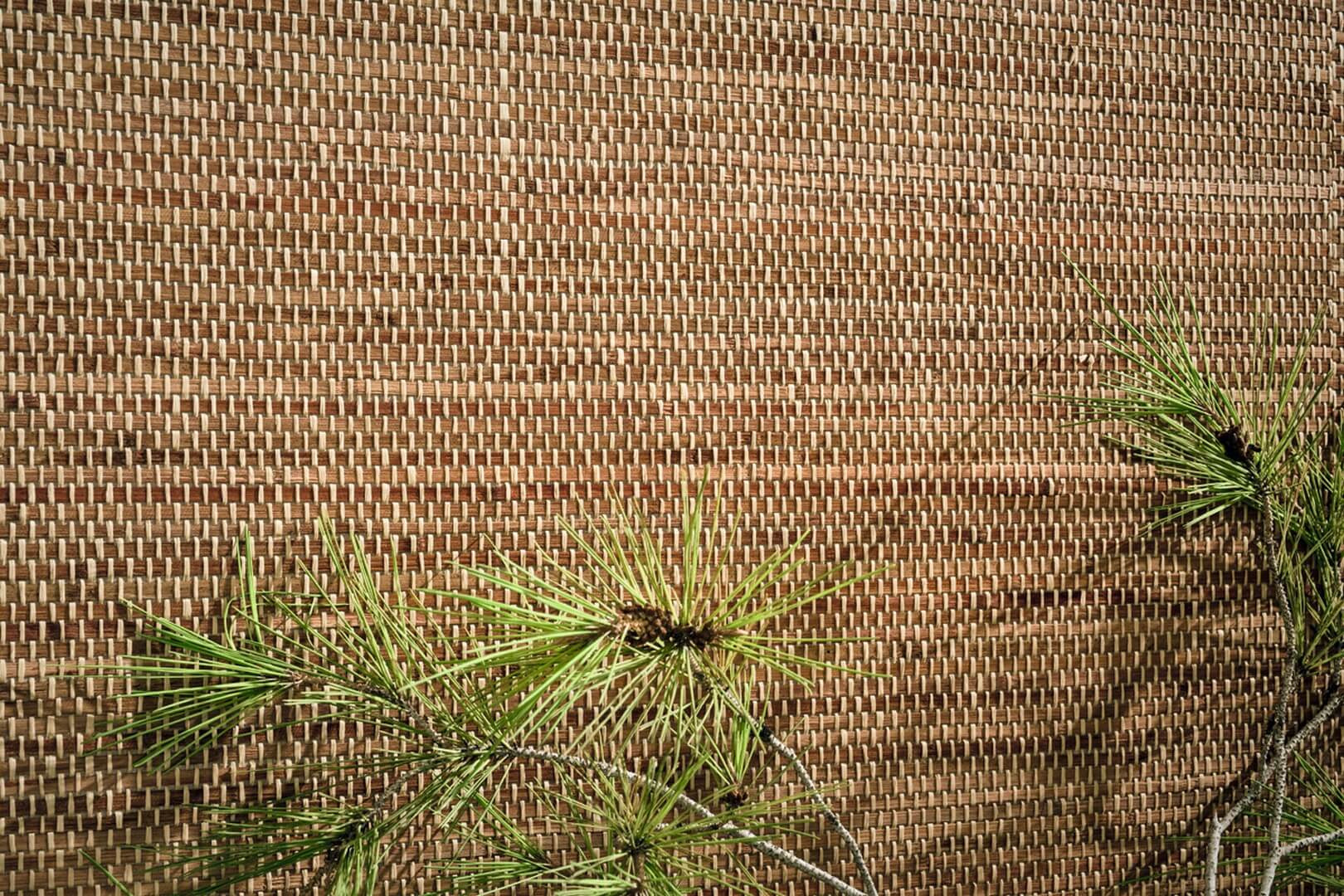 Tapeta CMO Paris WBB 07 72 Bambou Tressé Bamboo