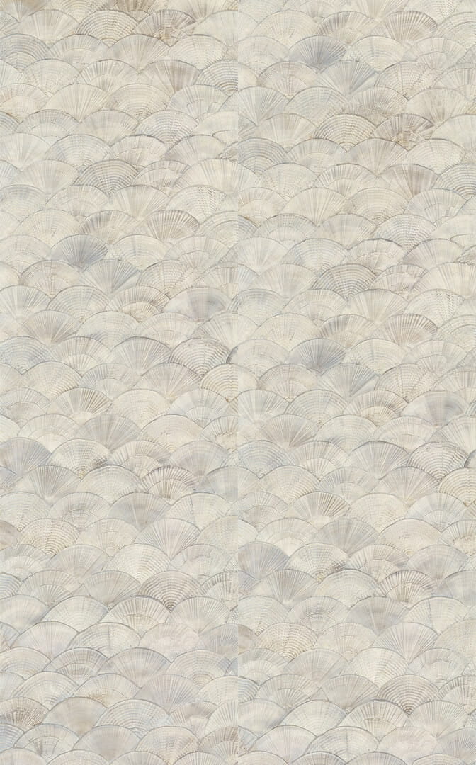 Tapeta wachlarze / muszle Elitis RM 1118 02 Calyptra Écume