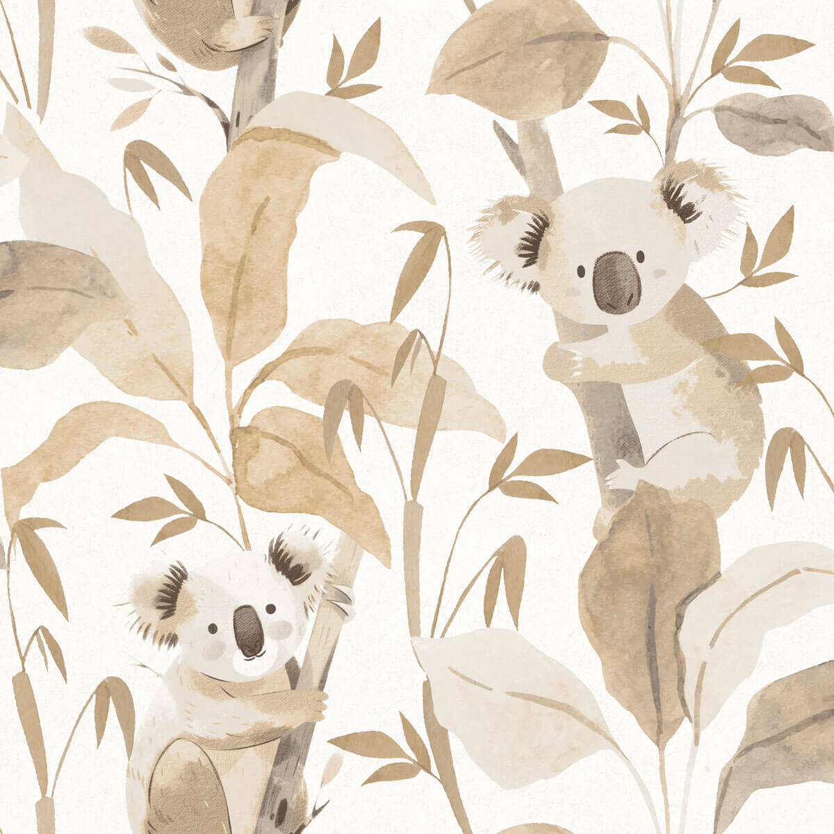 Tapeta misie koala Cristiana Masi 4438 Momi
