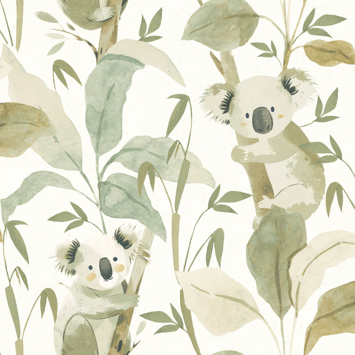 Tapeta misie koala Cristiana Masi 4439 Momi