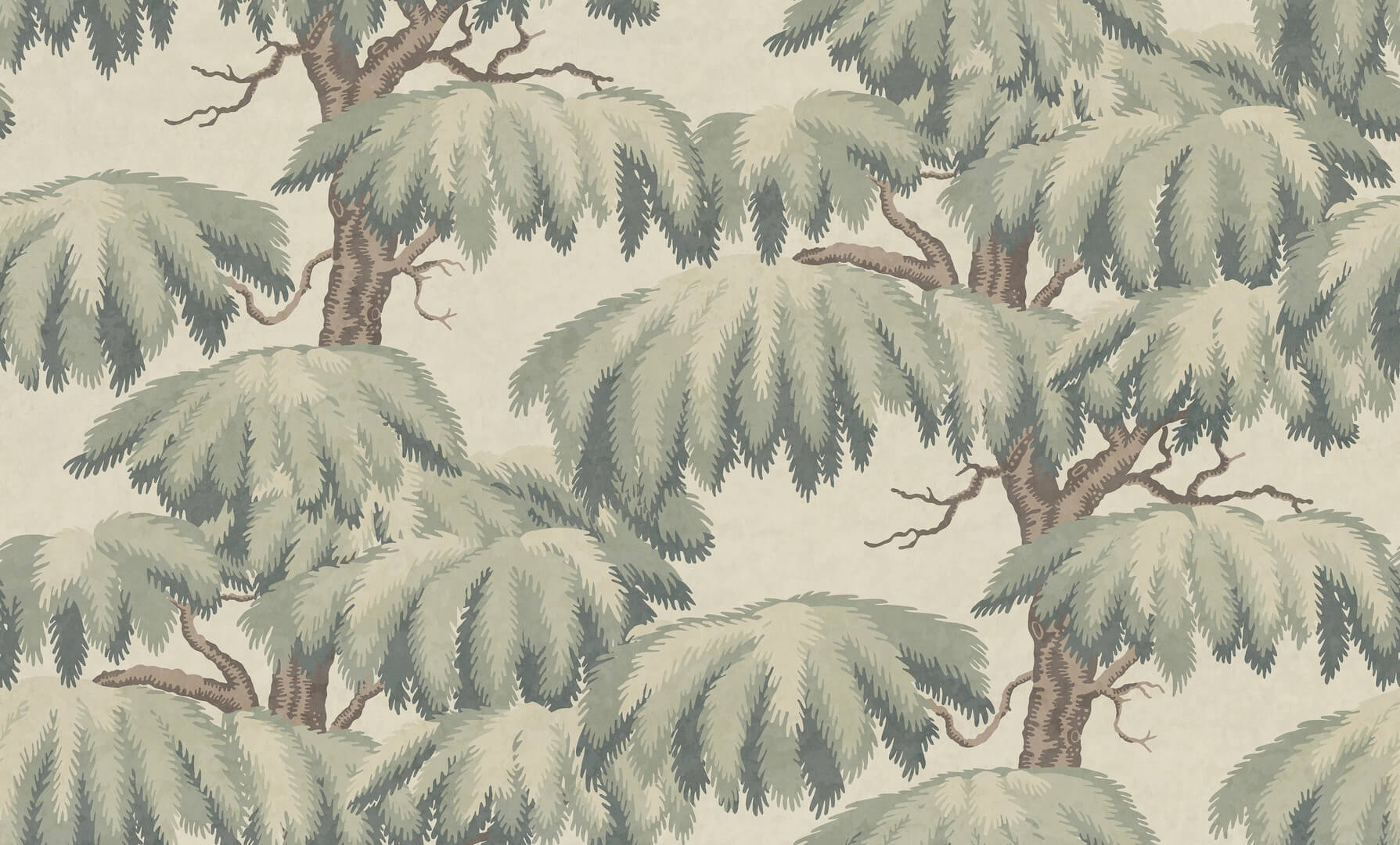 Fototapeta drzewa cedrowe Sandberg S10721 Alba Mural Green Heritage