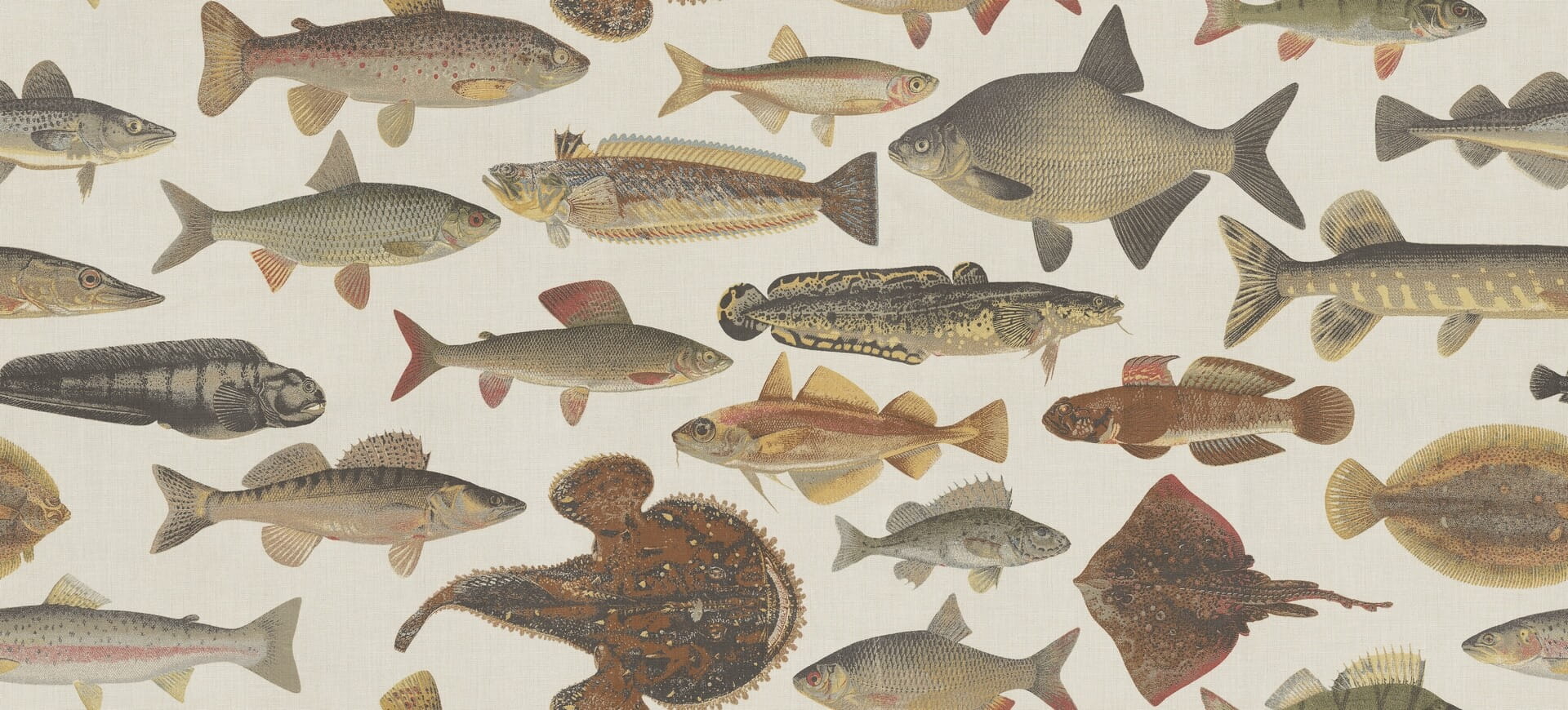 Fototapeta ryby Sandberg S10728 Scandinavian Fishes Beige Heritage