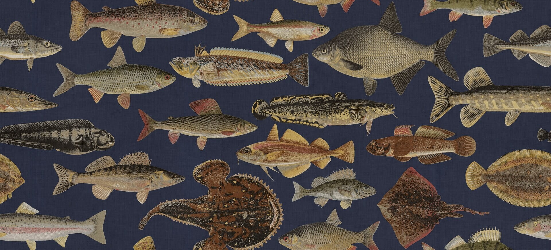 Fototapeta ryby Sandberg S10729 Scandinavian Fishes Dark Blue Heritage