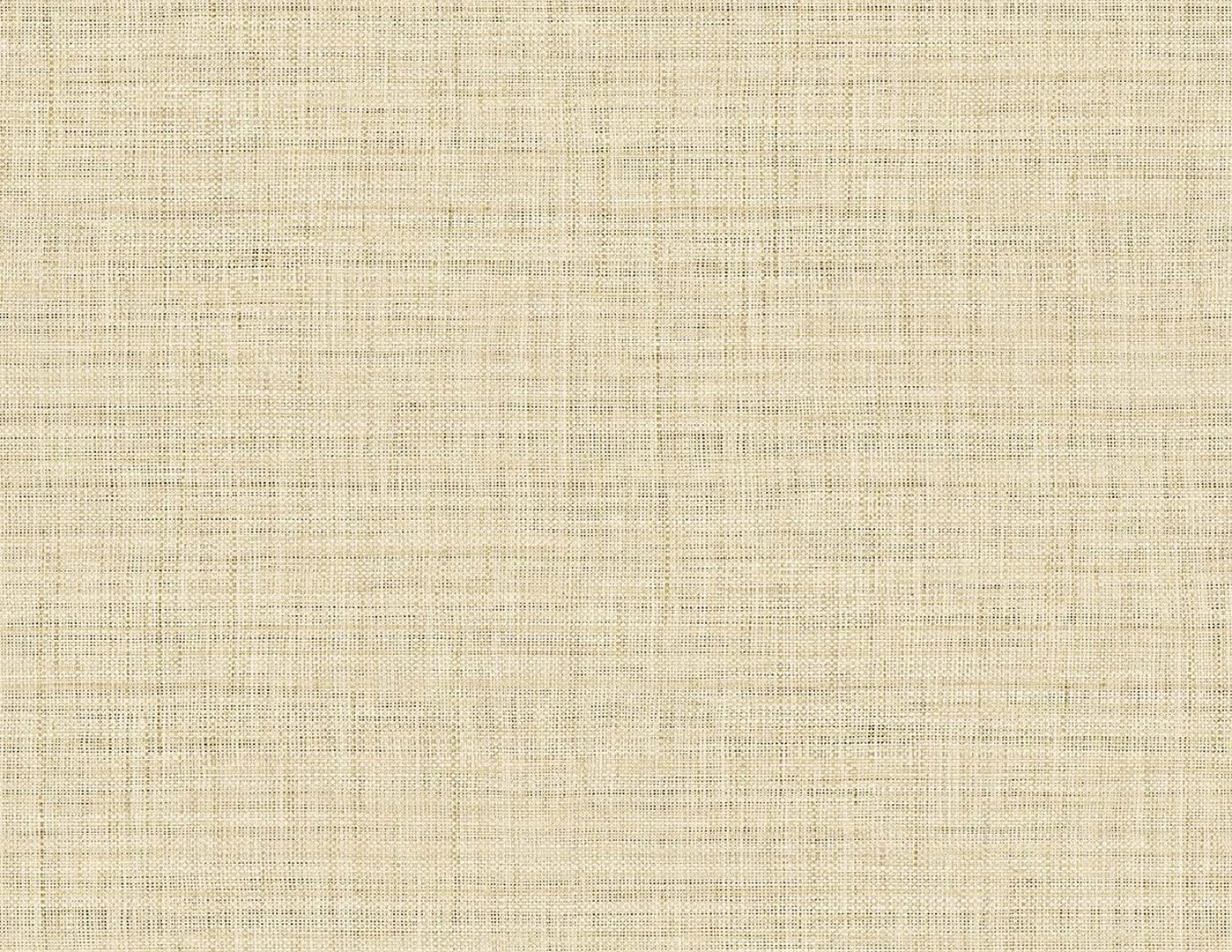 Tapeta imitująca płótno Wallquest RA40107 Raffia
