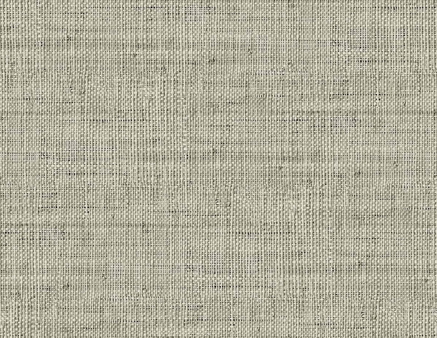 Tapeta imitująca naturalne płótno Wallquest RA40317 Raffia
