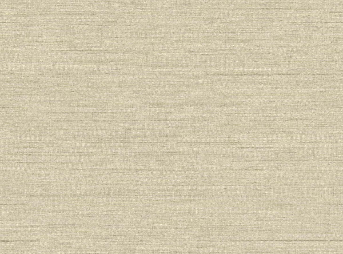 Tapeta płótno Wallquest RA40910 Raffia