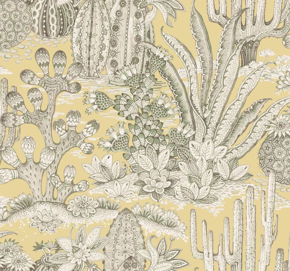 Tapeta kaktusy i sukulenty York Wallcoverings MT5635 Lotus Land Cacti Montecito