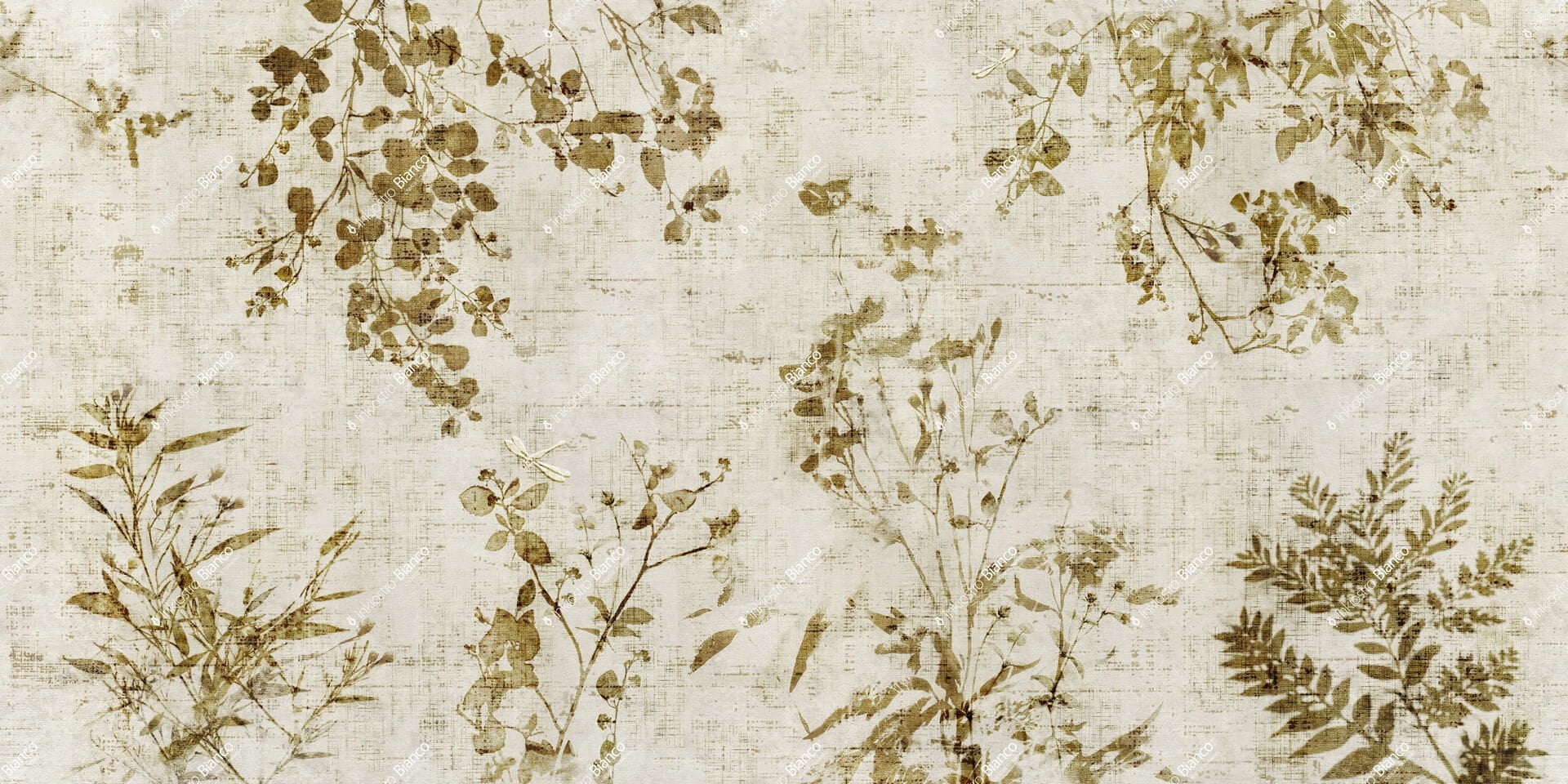 Fototapeta roślinna Inkiostro Bianco LINOSA OLIVA INKRNMG2601 Materiaprima