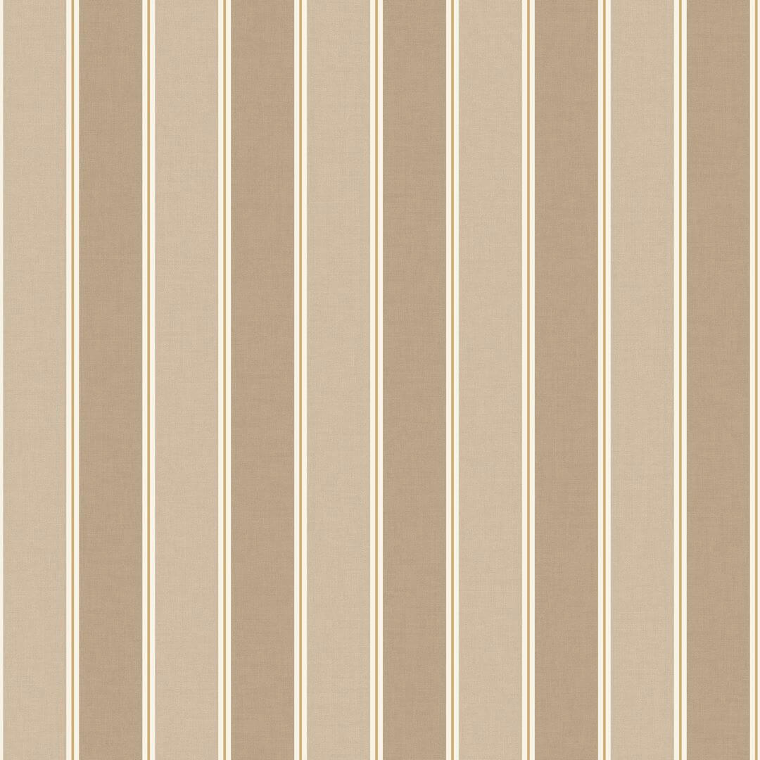 Tapeta pasy Caselio MIP 106731120 Classic Lines Mix & Stripes