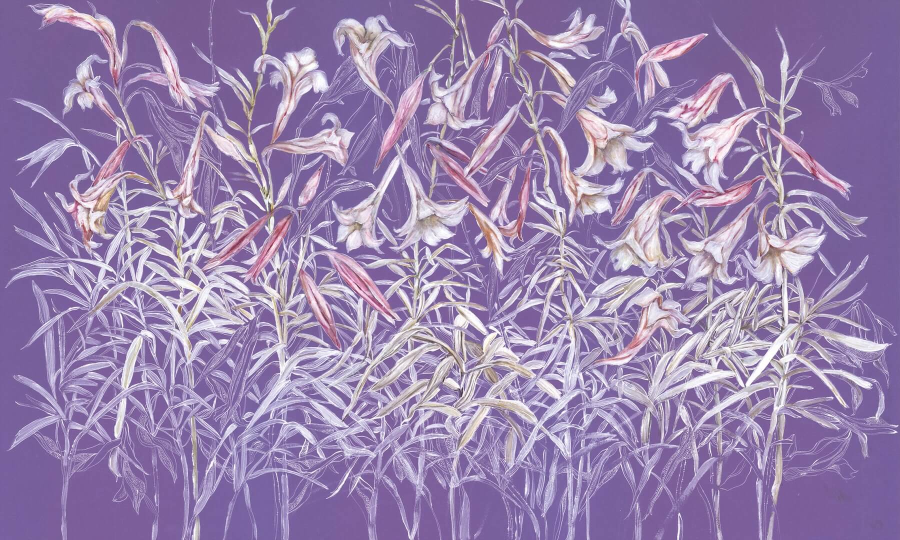 Fototapeta kwiaty Wonderwall Flourish 35034907
