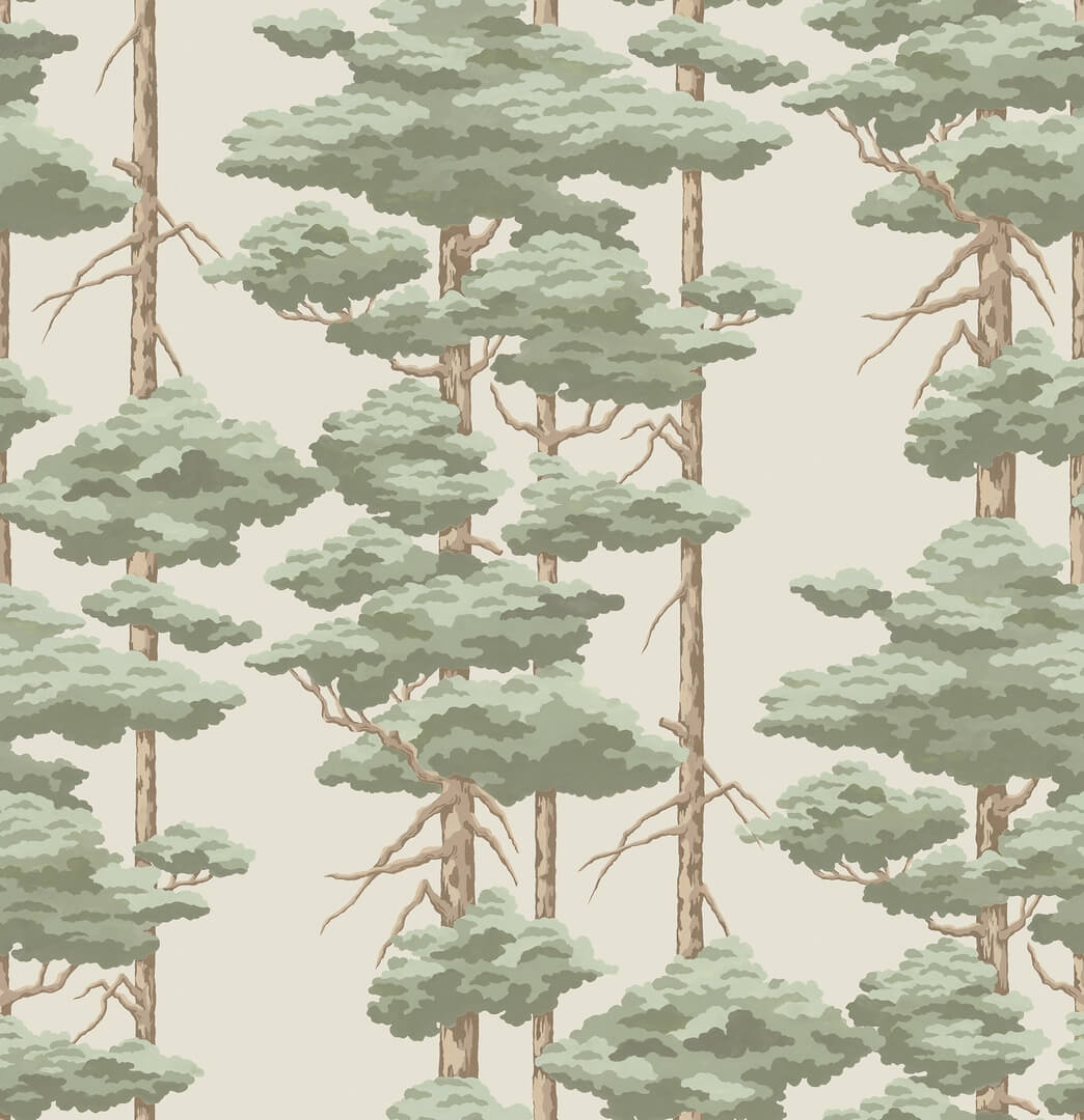 Fototapeta sosny Rebel Walls R21303 Highland Pines Light Green Sophisticated Luxe
