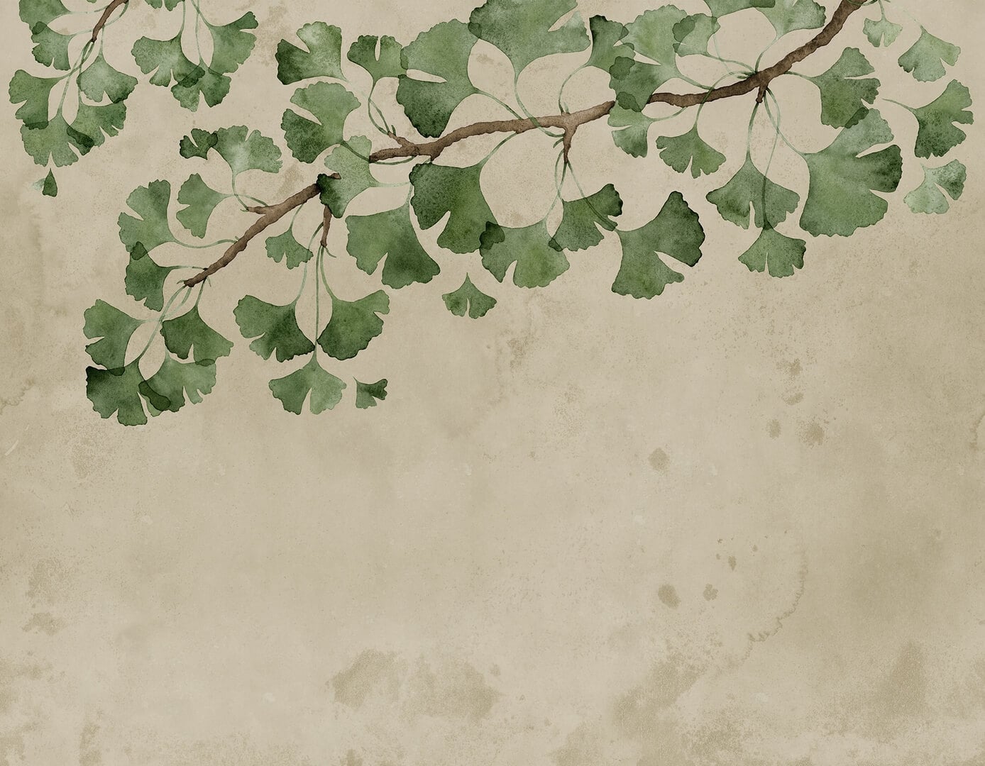 Fototapeta liście miłorzębu Rebel Walls R21344 Maidenhair Tree Green Sophisticated Luxe