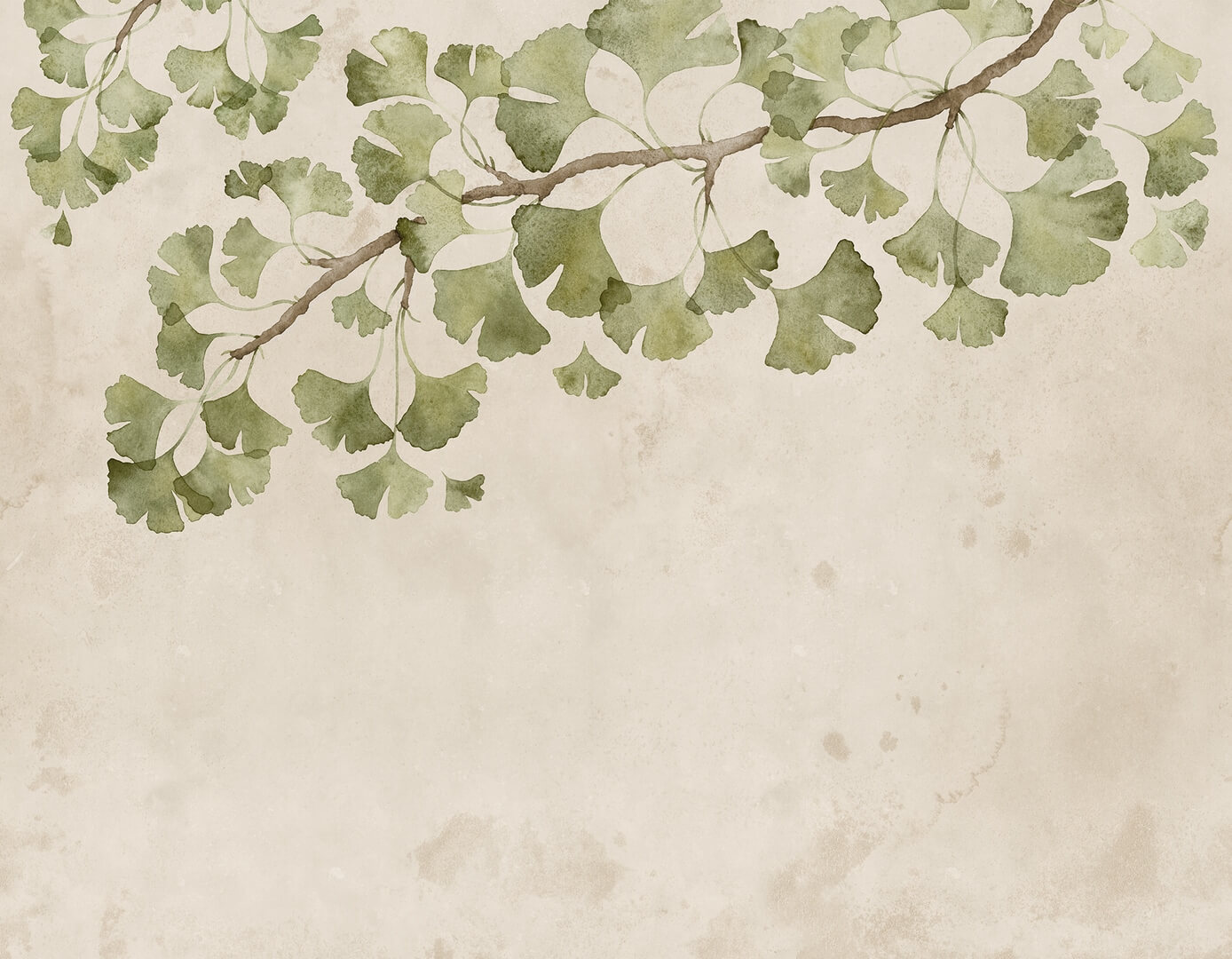 Fototapeta liście miłorzębu Rebel Walls R21345 Maidenhair Tree Light Green Sophisticated Luxe