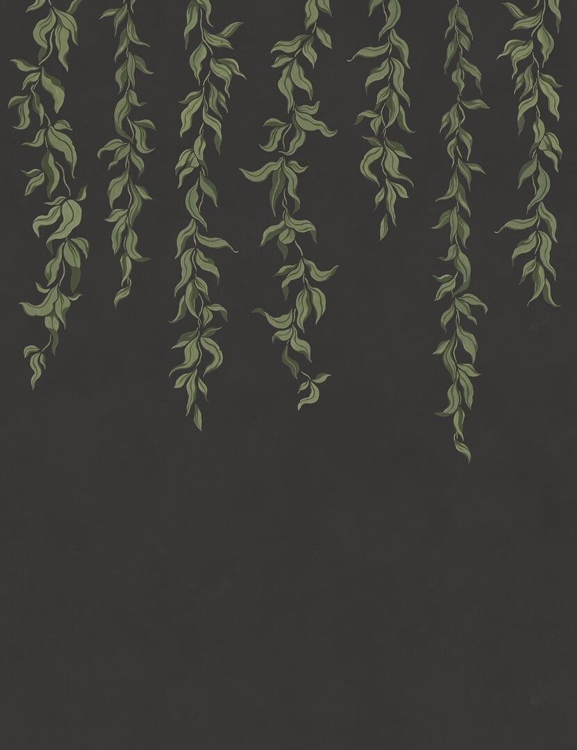 Fototapeta opadające pnącza Rebel Walls R21660 Hanging Leaves Graphite Botanical Gardens