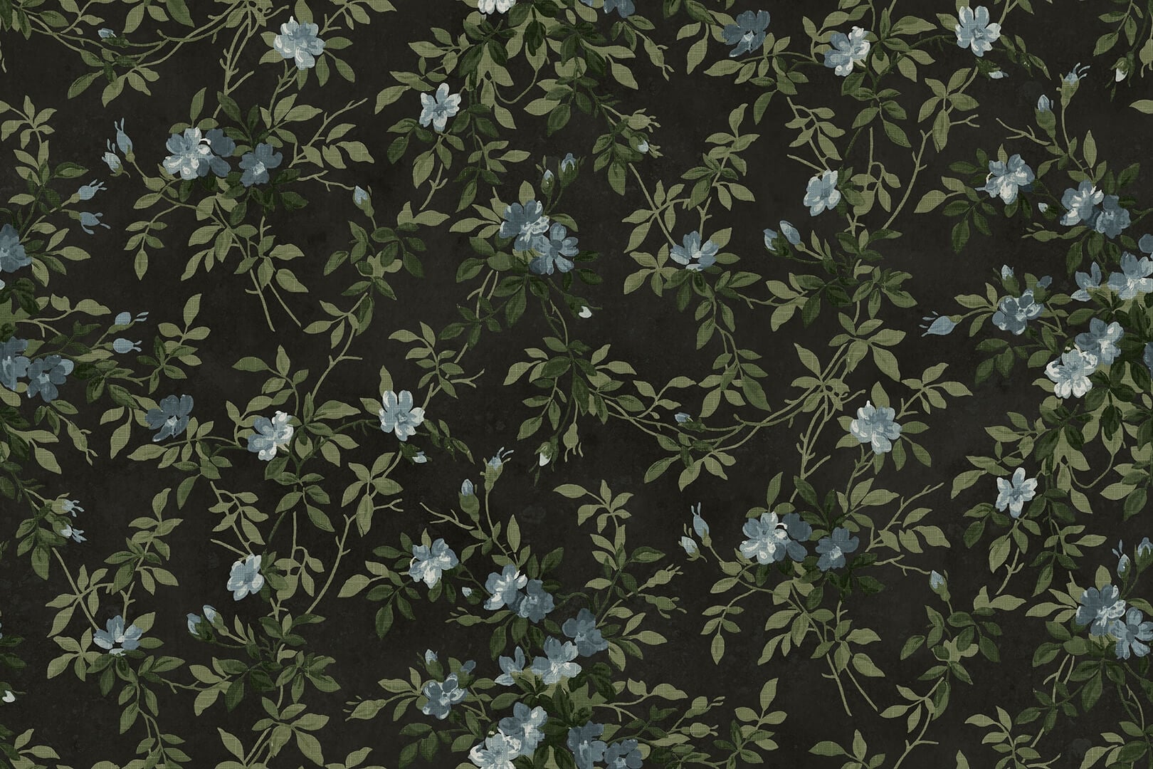 Fototapeta kwiatowe pnącza Rebel Walls R21663 Wildflower Vista Black Botanical Gardens