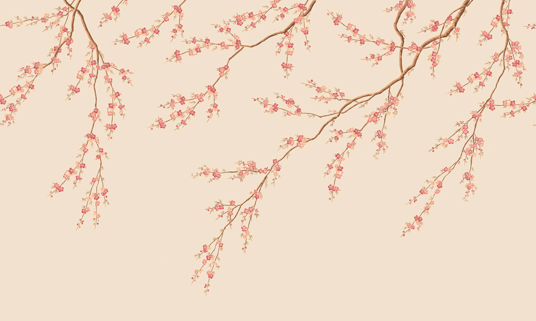 Fototapeta kwitnące gałązki Rebel Walls R21727 Spring Breeze Peach Diane Hill