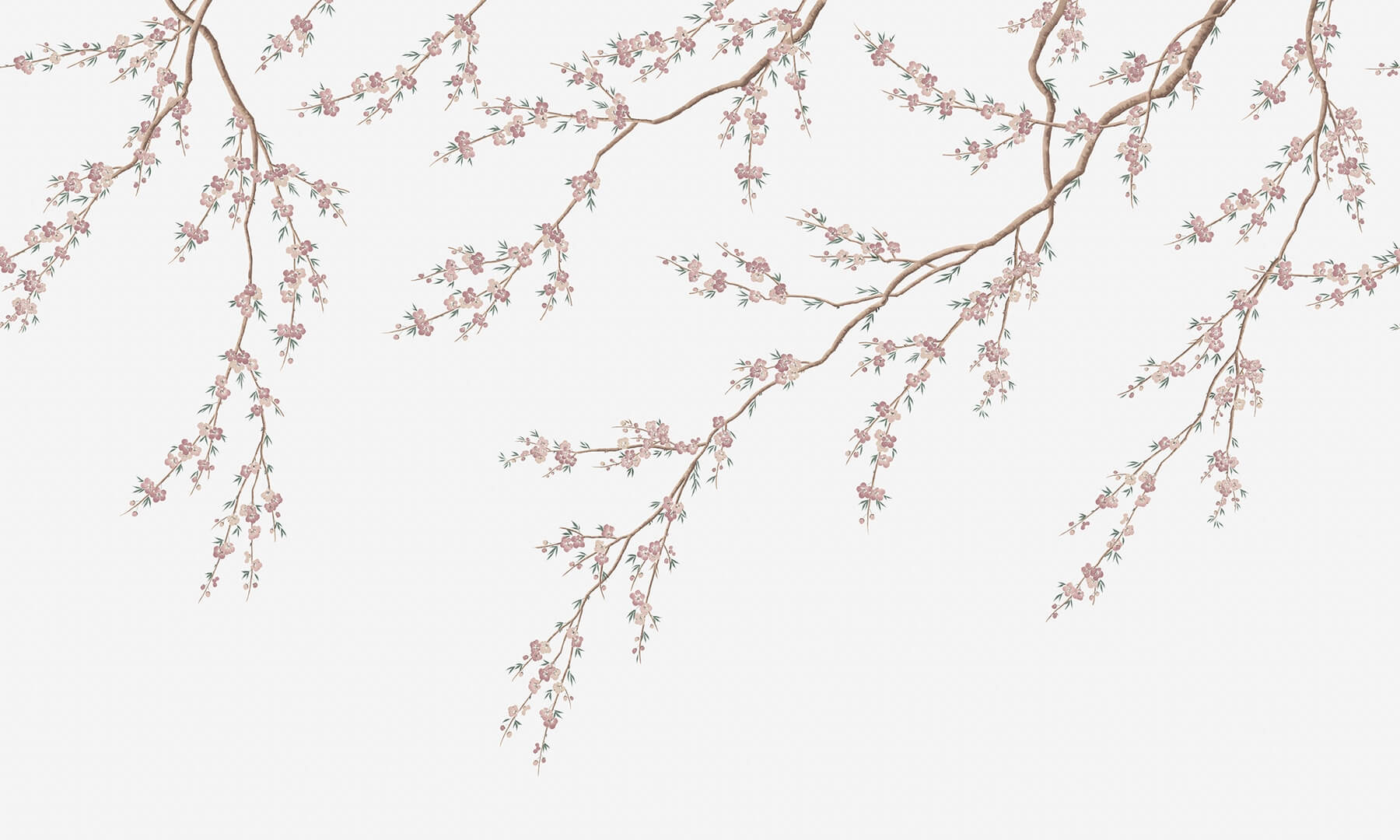 Fototapeta kwitnące gałązki Rebel Walls R21729 Spring Breeze Pink Diane Hill