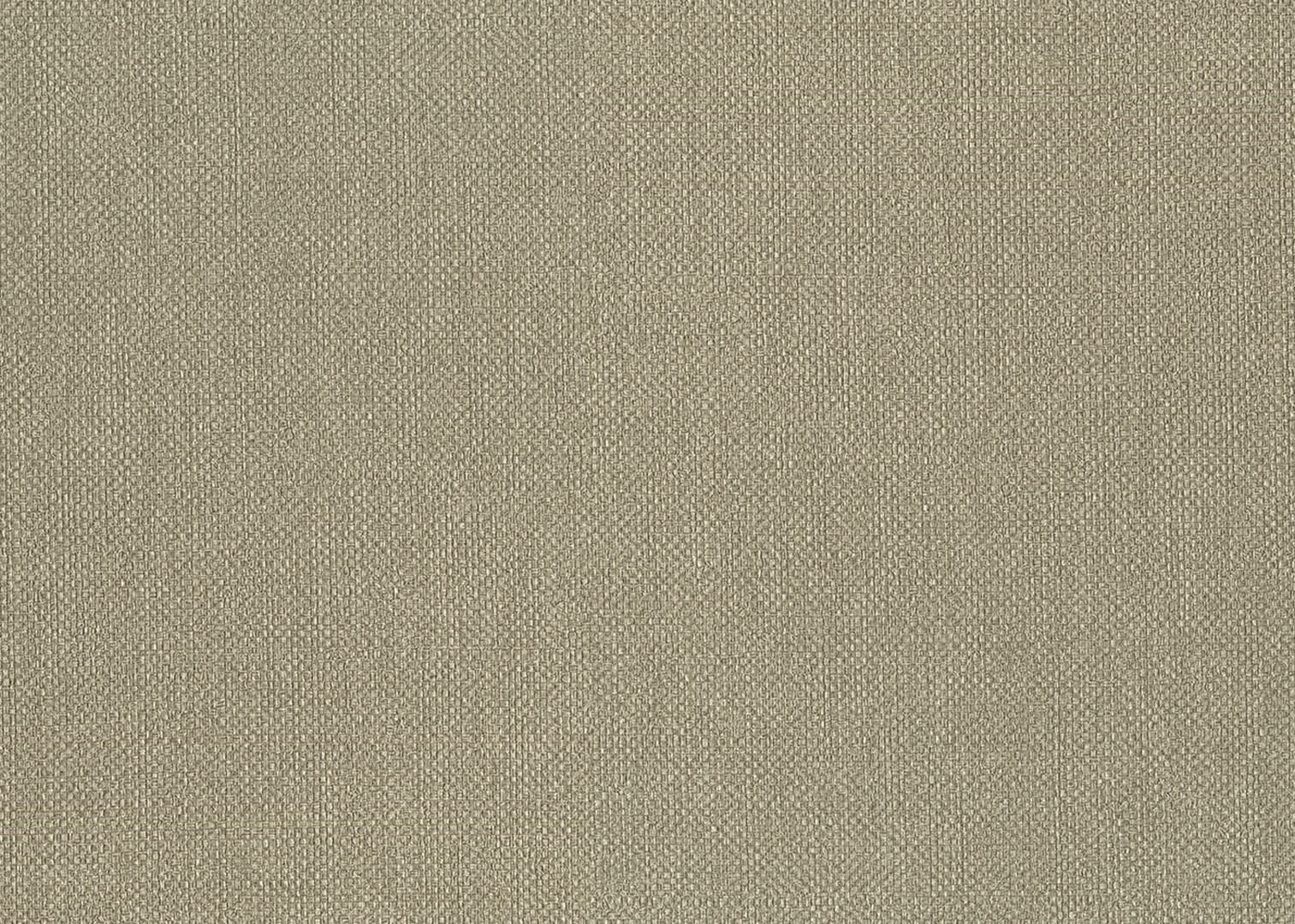 Tapeta płótno J&V 6552 Baobab Amazzonia