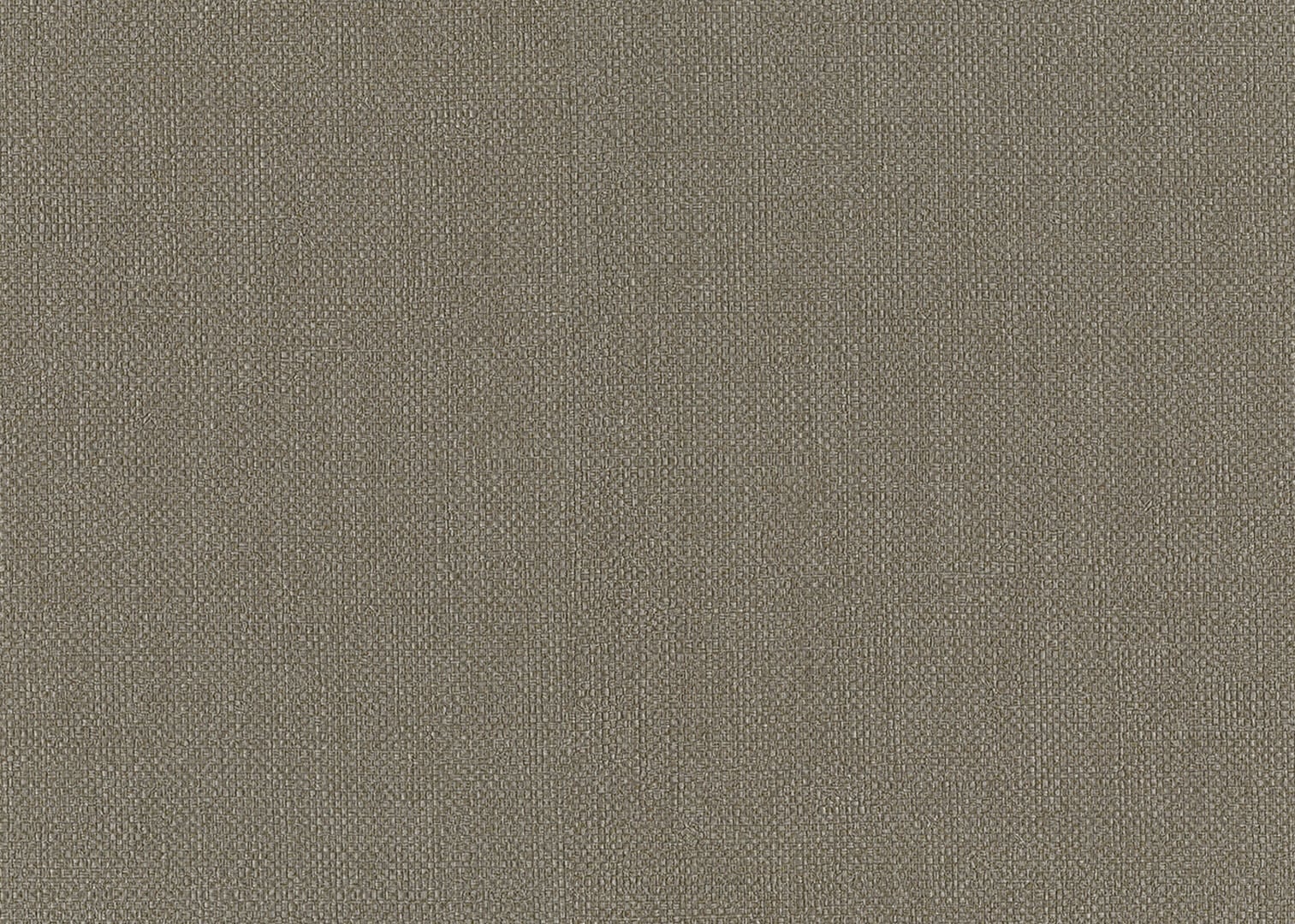 Tapeta płótno J&V 6553 Baobab Amazzonia