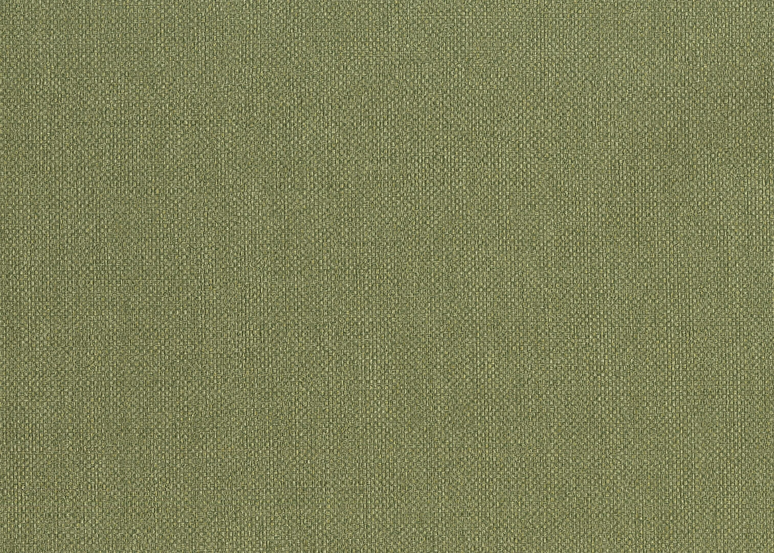 Tapeta płótno J&V 6555 Baobab Amazzonia