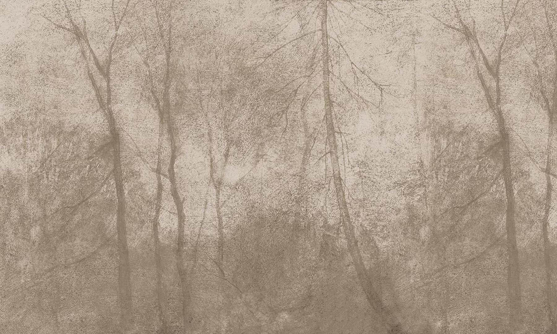 Fototapeta zamglony las Foggy Beige Wall Art