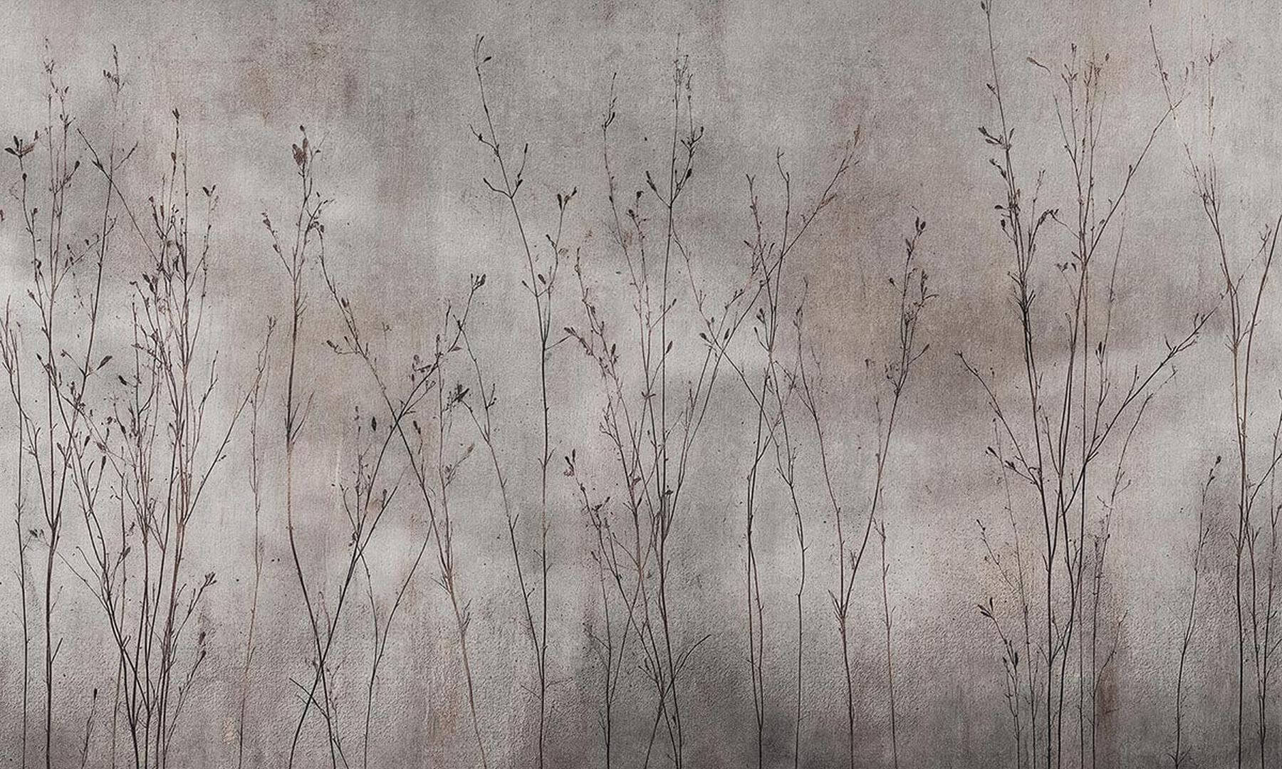 Fototapeta sucha roślinność Rafia Wall Art