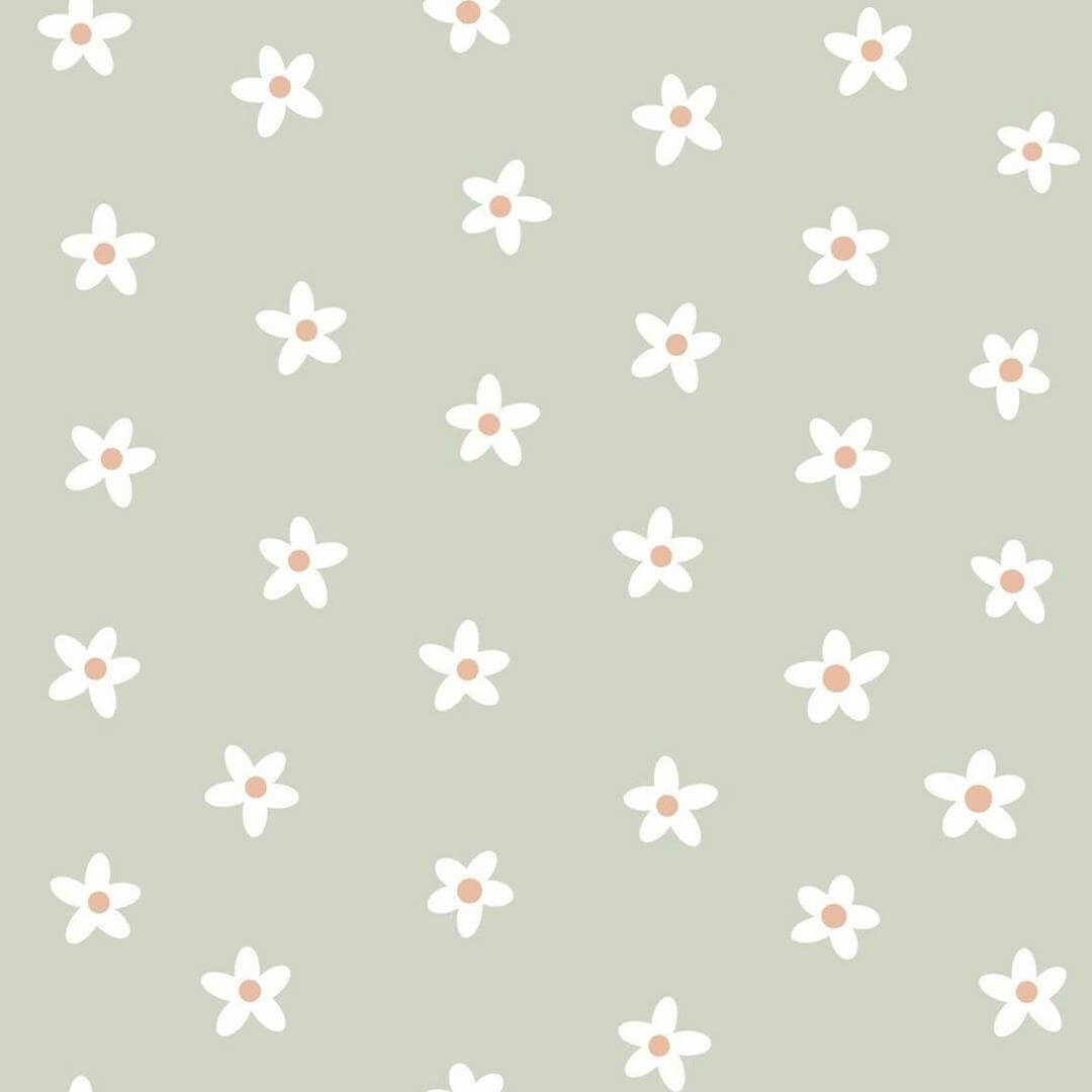 Tapeta stokrotki Esta 131115 Floral