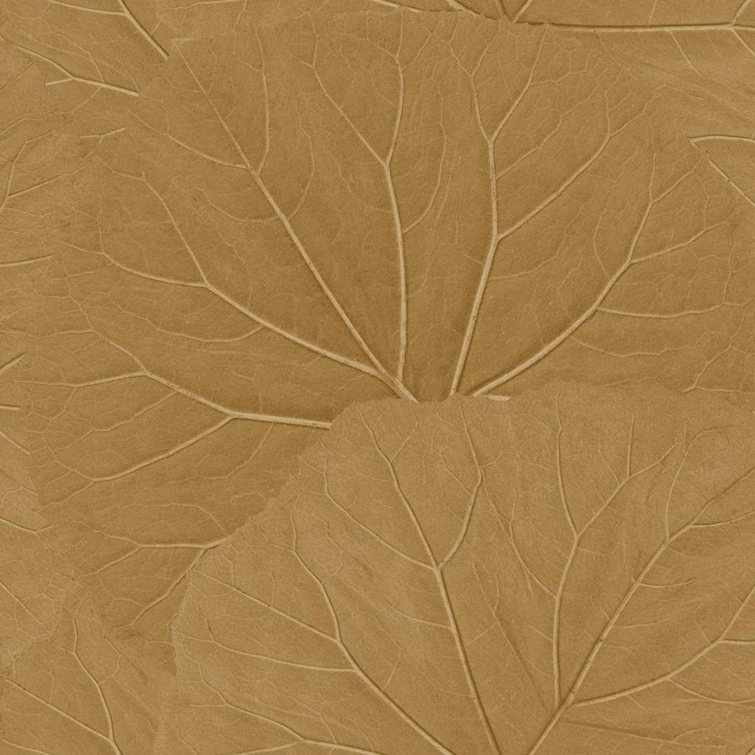 Tapeta liście Esta 139914 Floral