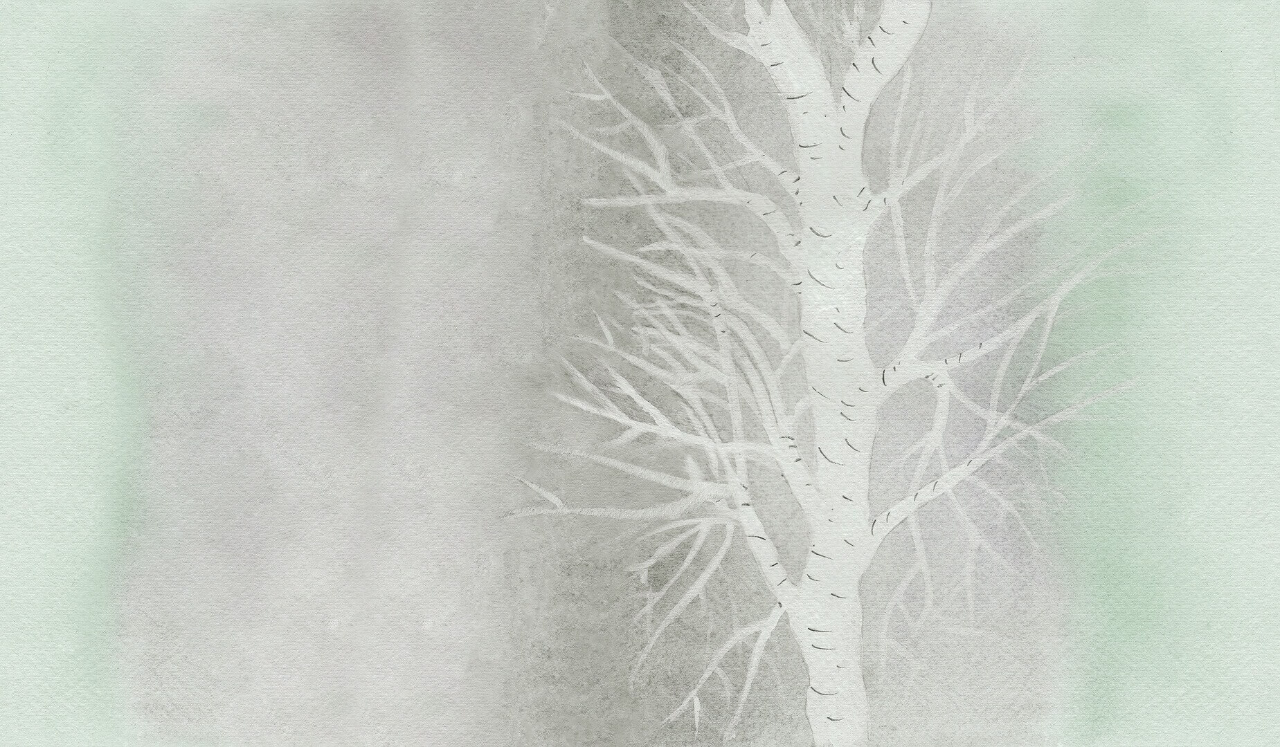 Fototapeta brzoza Wall&Deco WET_AR2602 Arboralis WET SYSTEM 2026