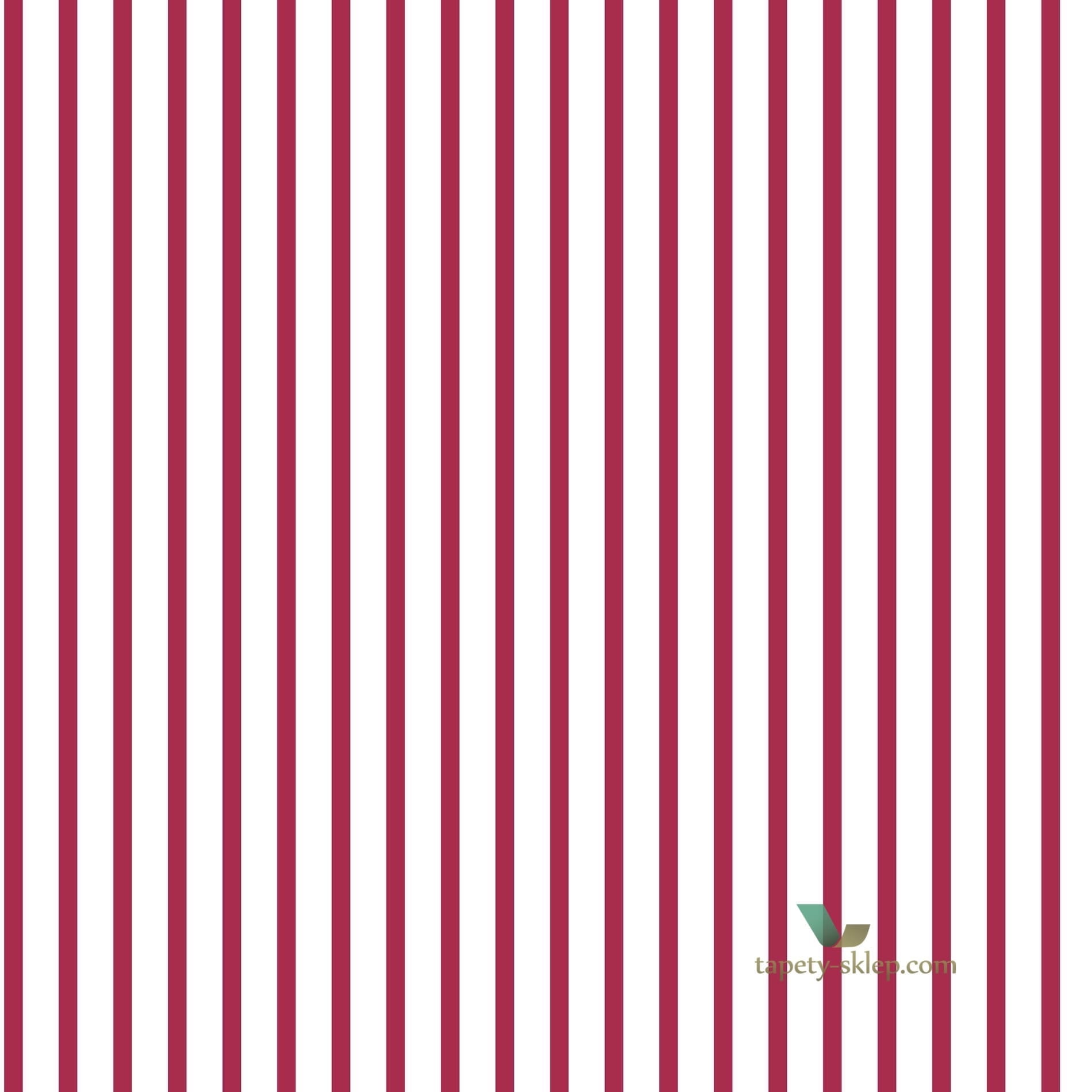 Tapeta Galeria G67536 Smart Stripes 2