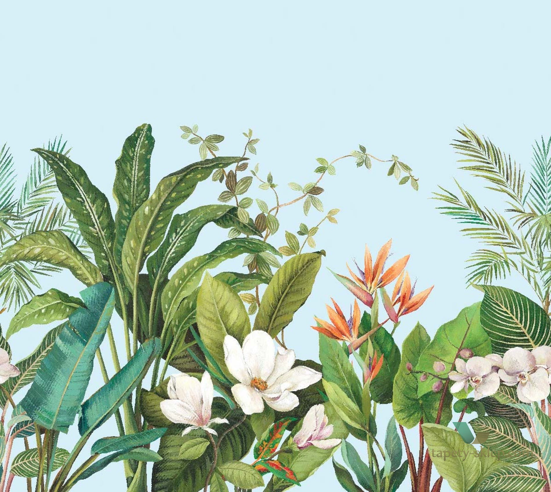 Mural Daisy Bennett DB11802m Naples Palm Anthology Resource Wallquest