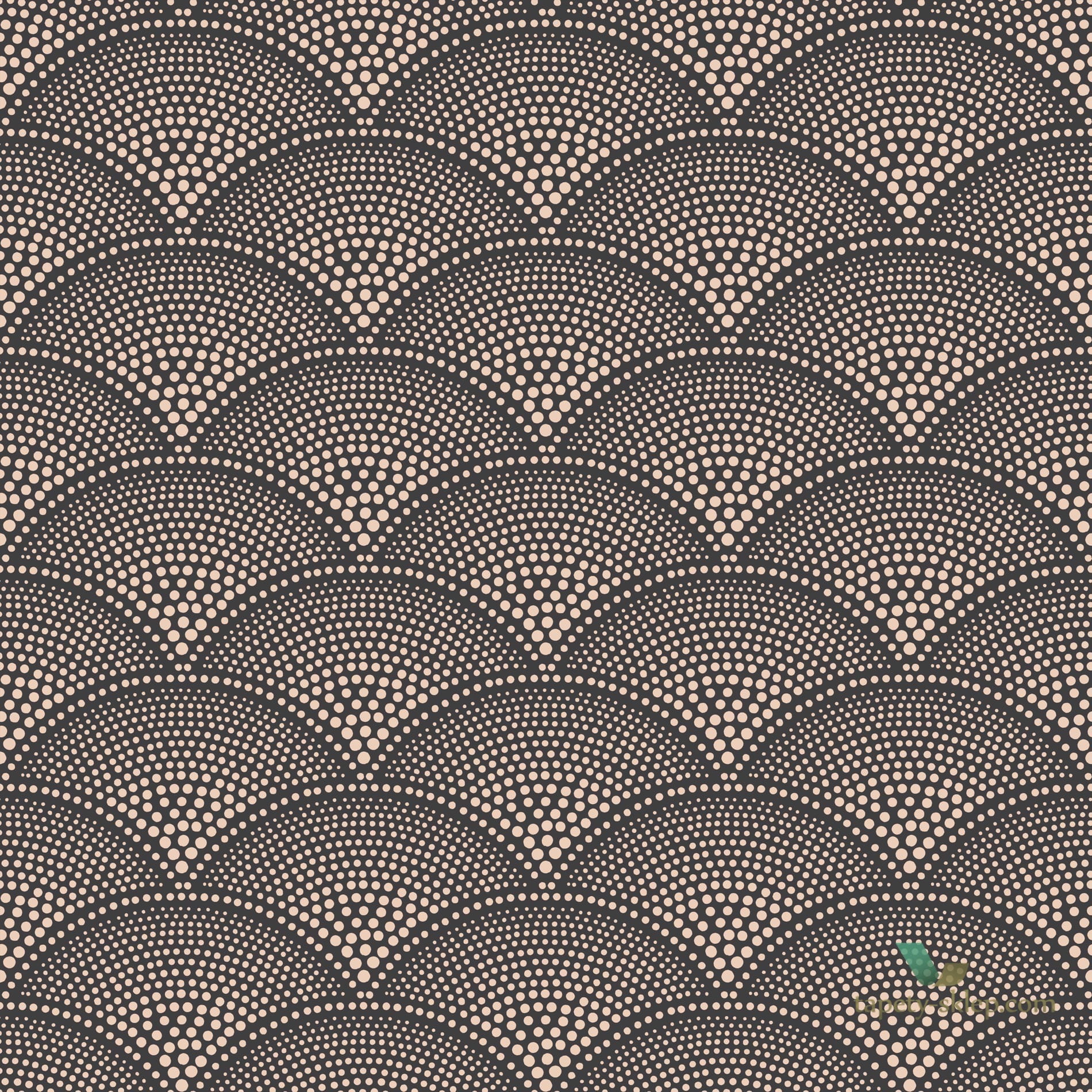 Tapeta Cole & Son Icons 112/10033 Feather Fan