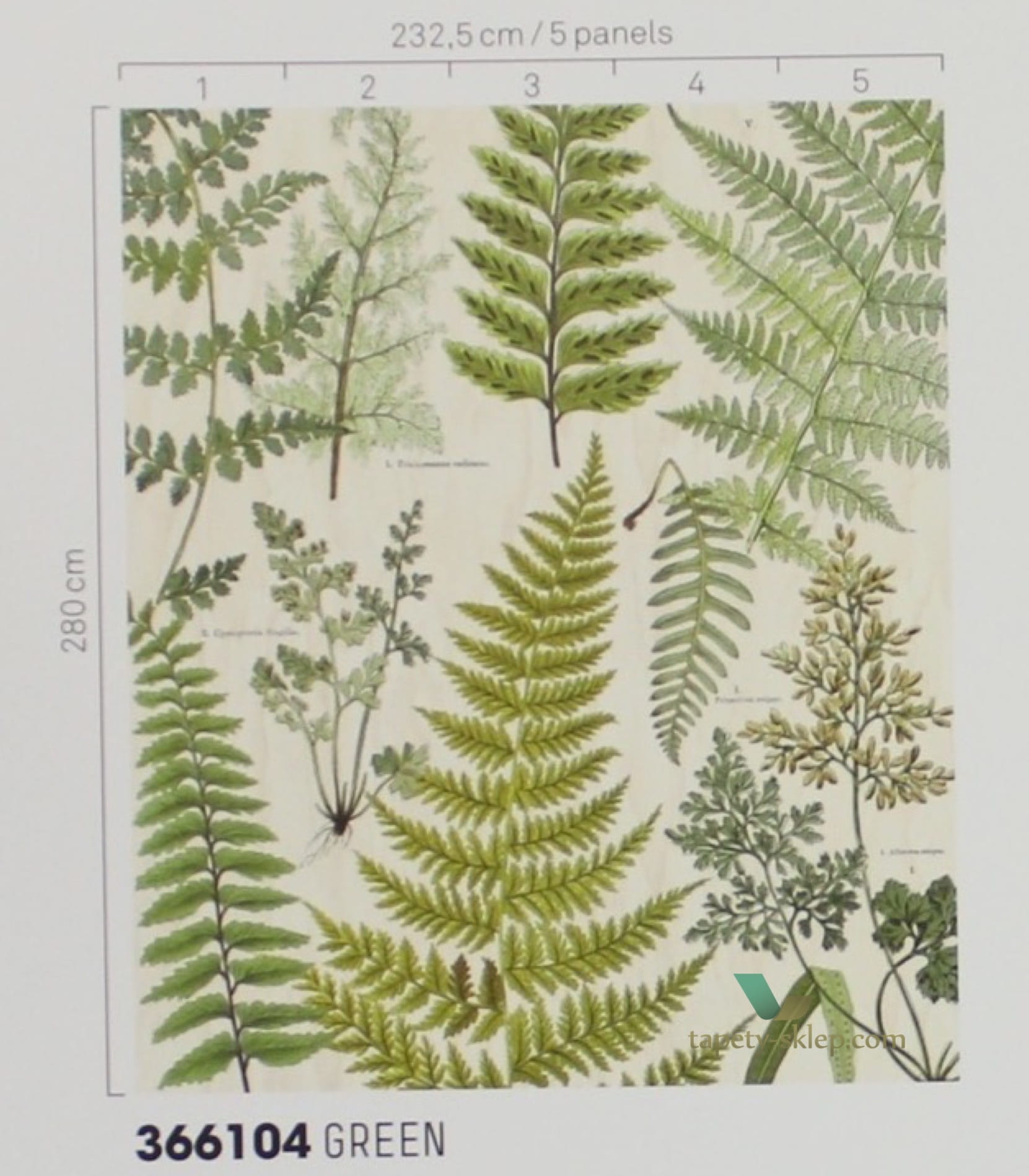 Mural Eijffinger 366106 Geonature