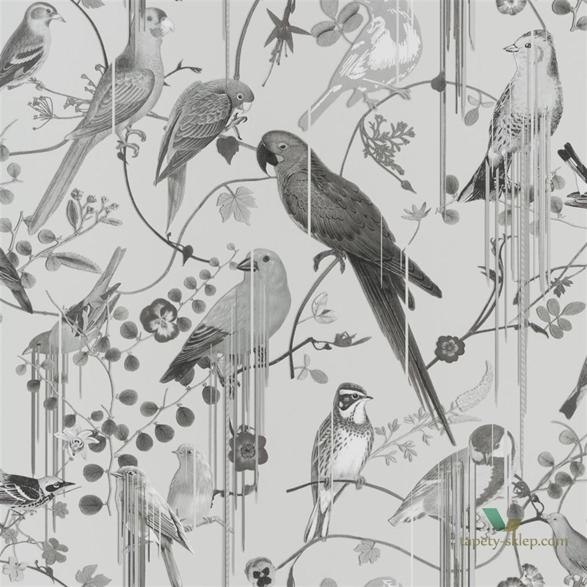 Tapeta Ptaki Papugi Christian Lacroix PCL7017/08 Birds Sinfonia Histoires Naturelles