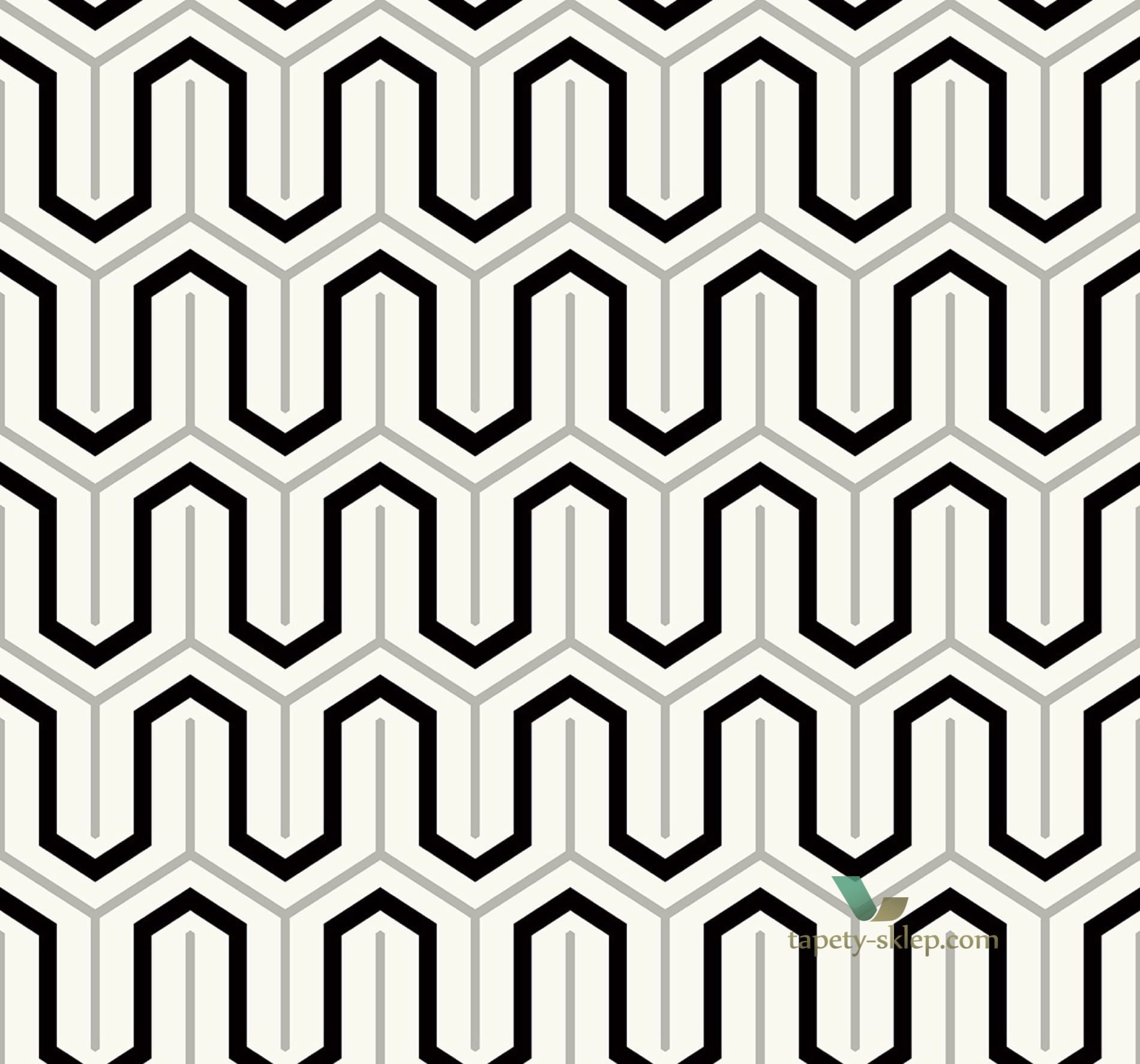 Tapeta BW22800 Black & White