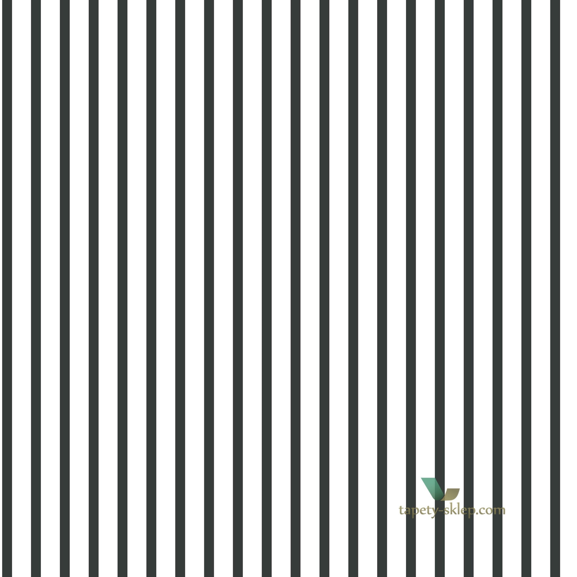 Tapeta Galeria G67533 Smart Stripes 2