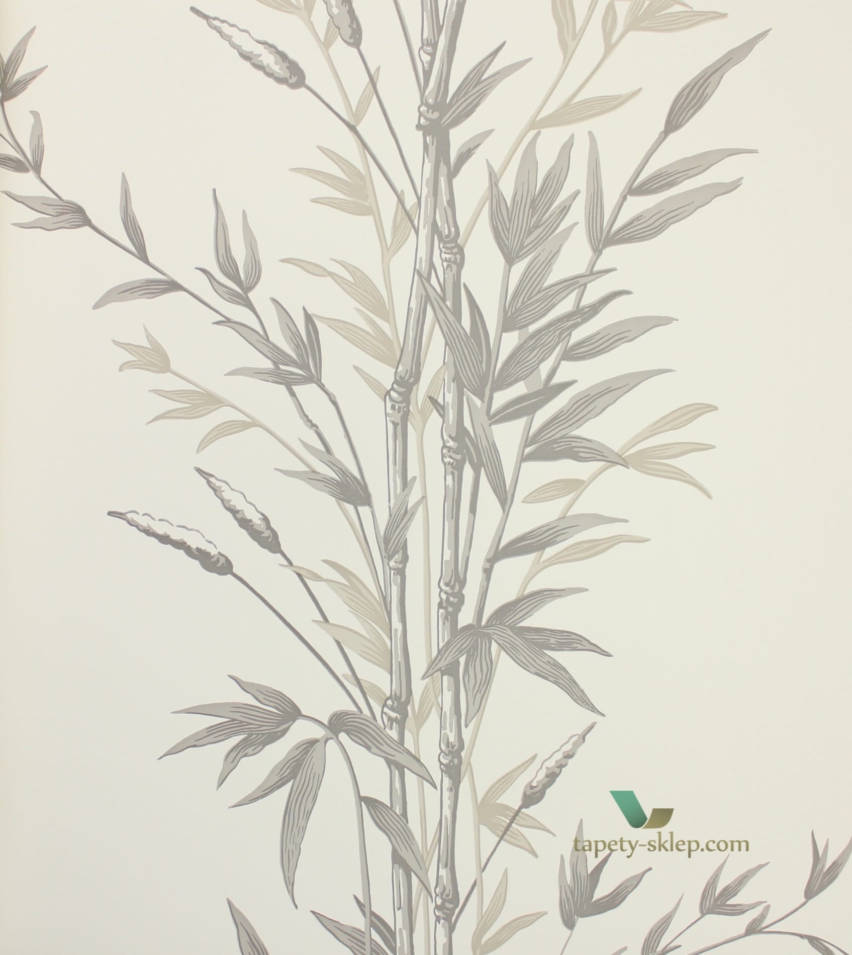 Tapeta 100/5025 Cole & Son Archive Anthology Bamboo