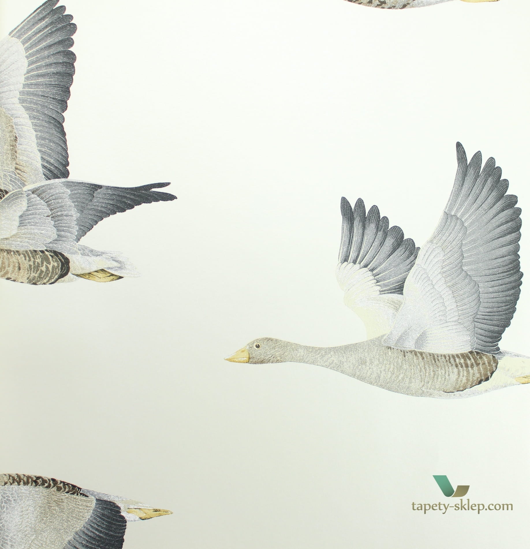Tapeta ptaki Sanderson 216611 Geese Elysian