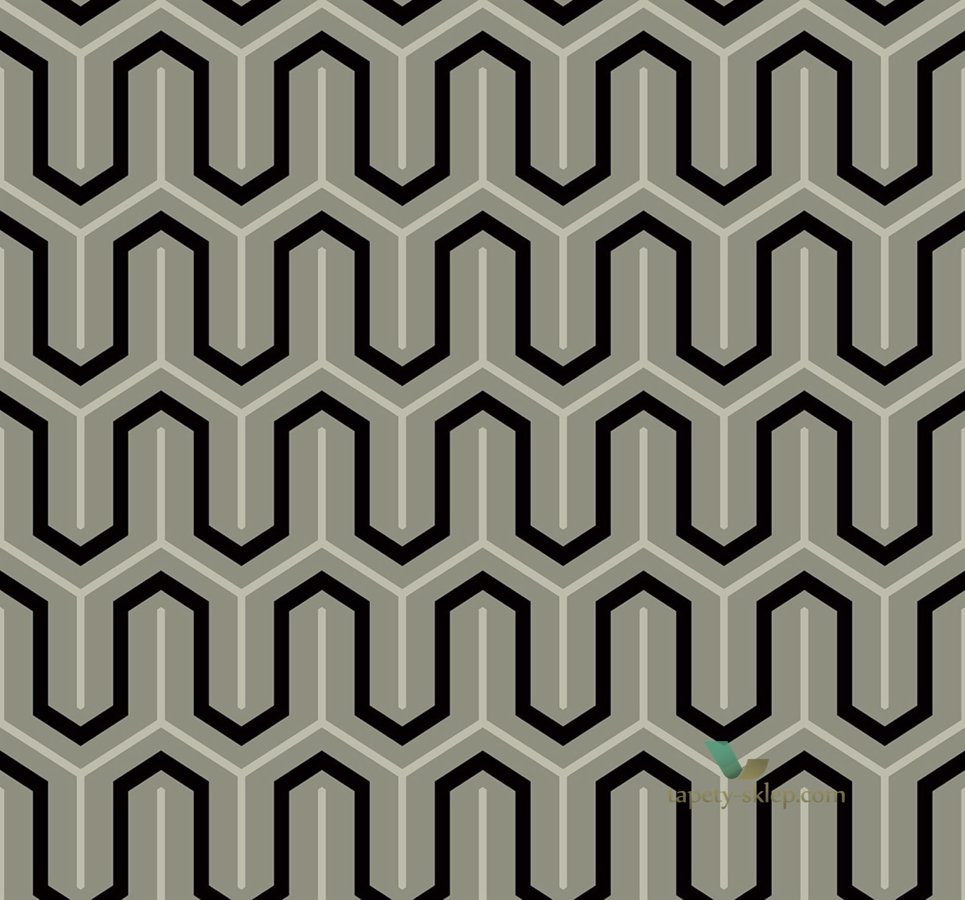 Tapeta BW22811 Black & White