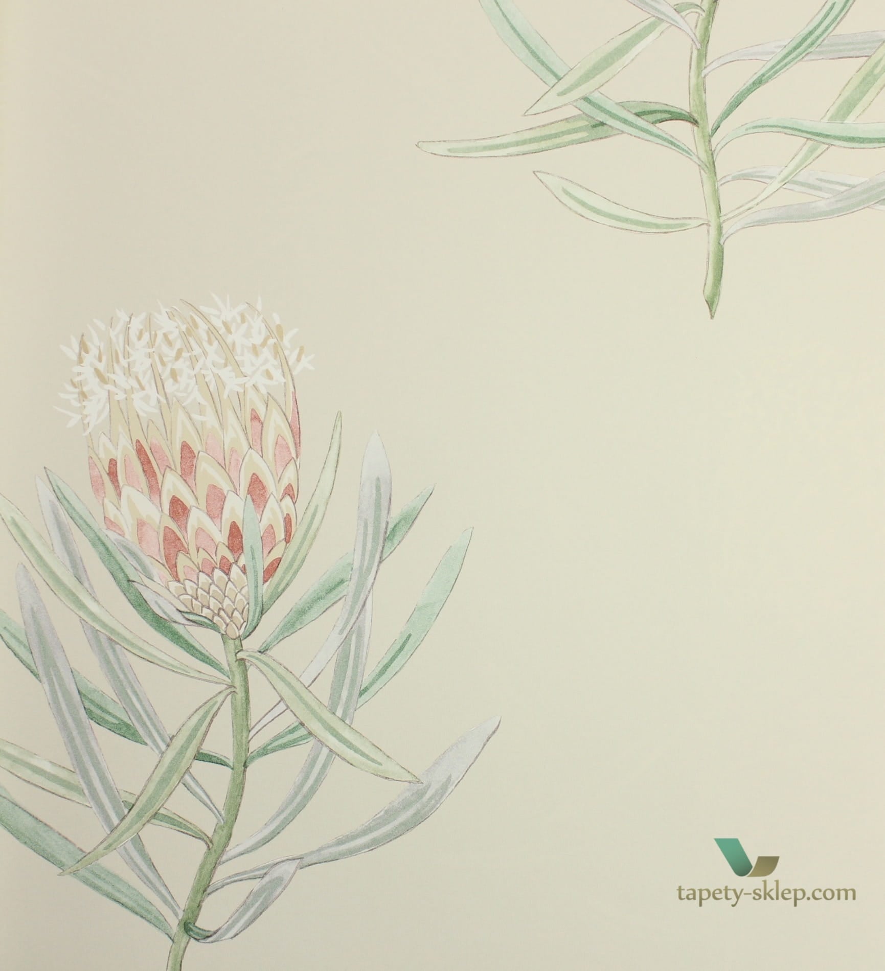 Tapeta kwiaty Sanderson 216329 Art of the Garden