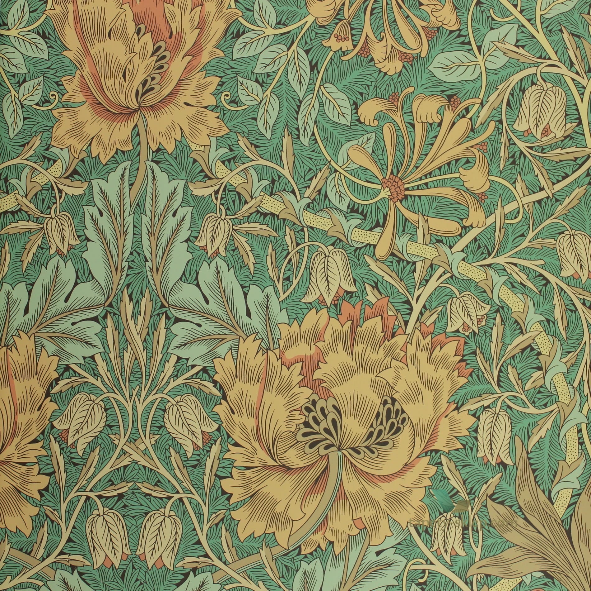 Tapeta Ornament Roślinny William Morris 214704 Archive III