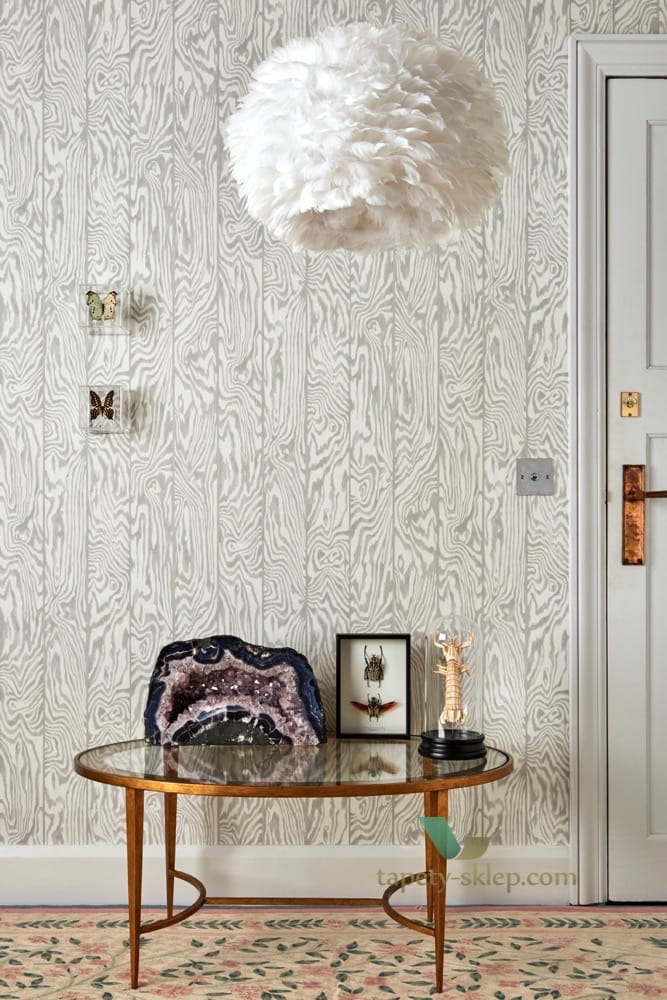 Tapeta Cole & Son 107/1004 Zebrawood Curio