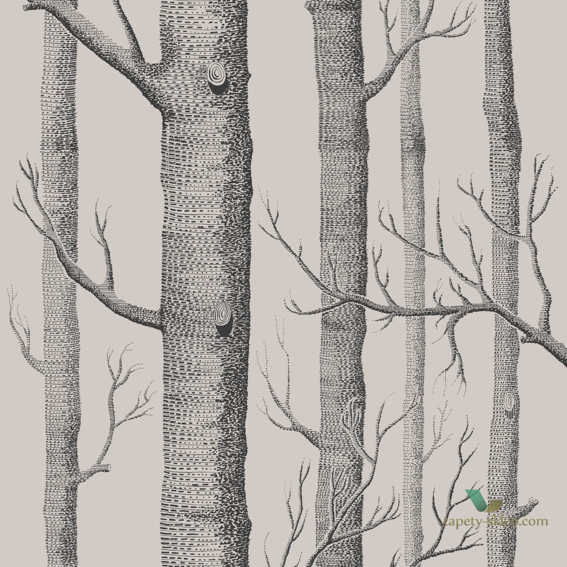 Tapeta w drzewa Cole & Son Icons 112/3009 Woods